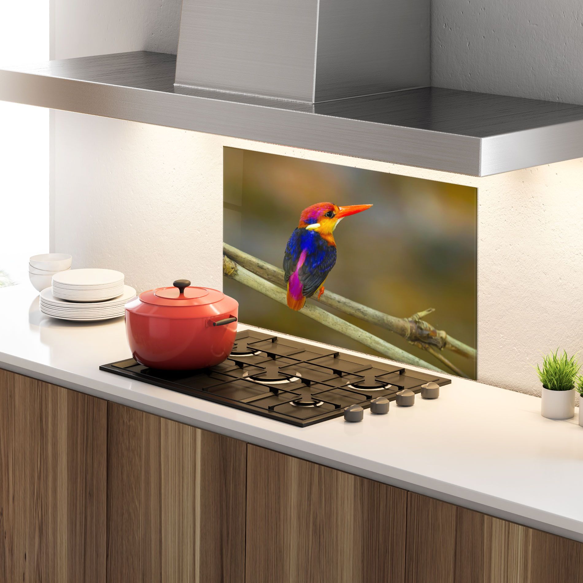 Colorful Bird mockup 4
