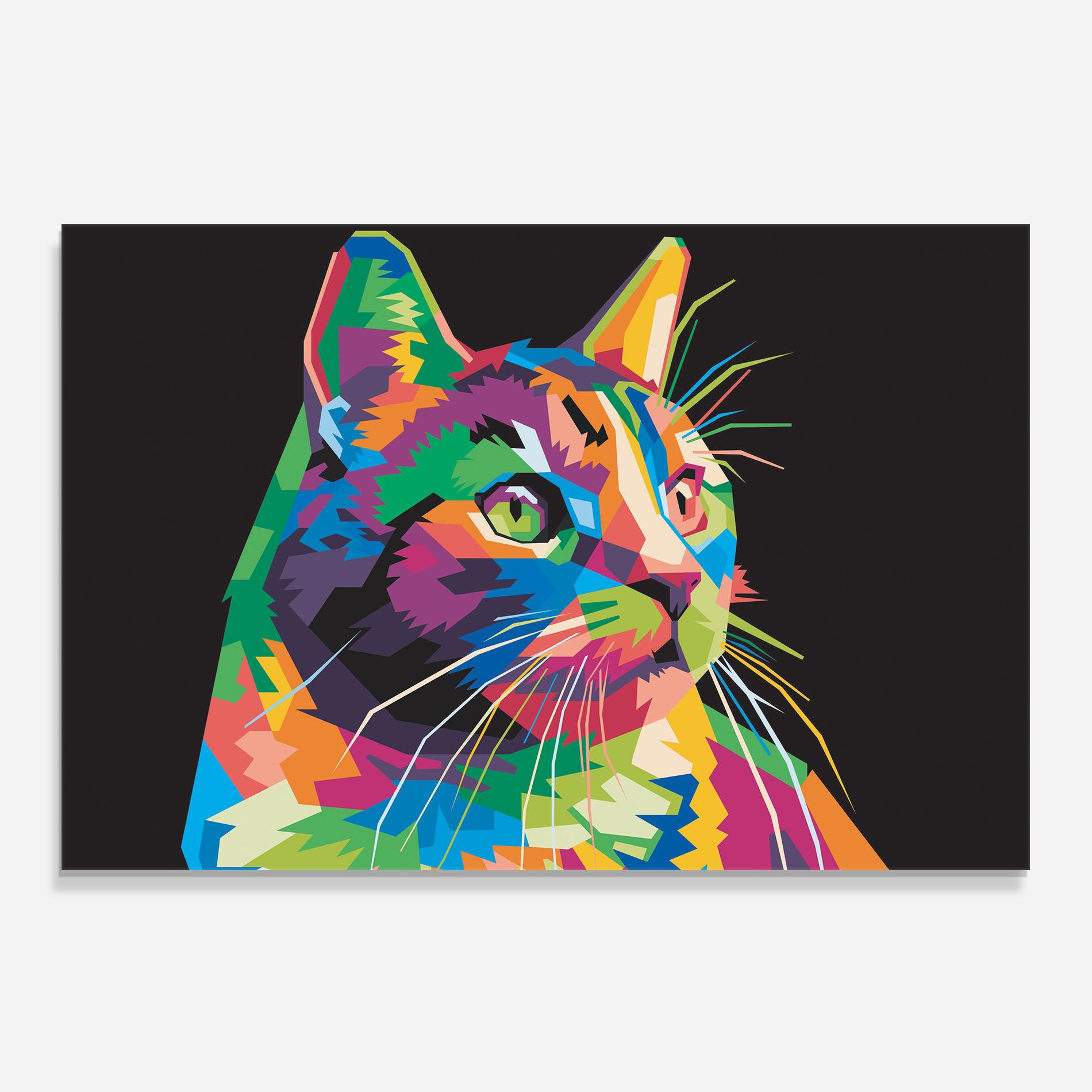 Color Mix Cat mockup 0
