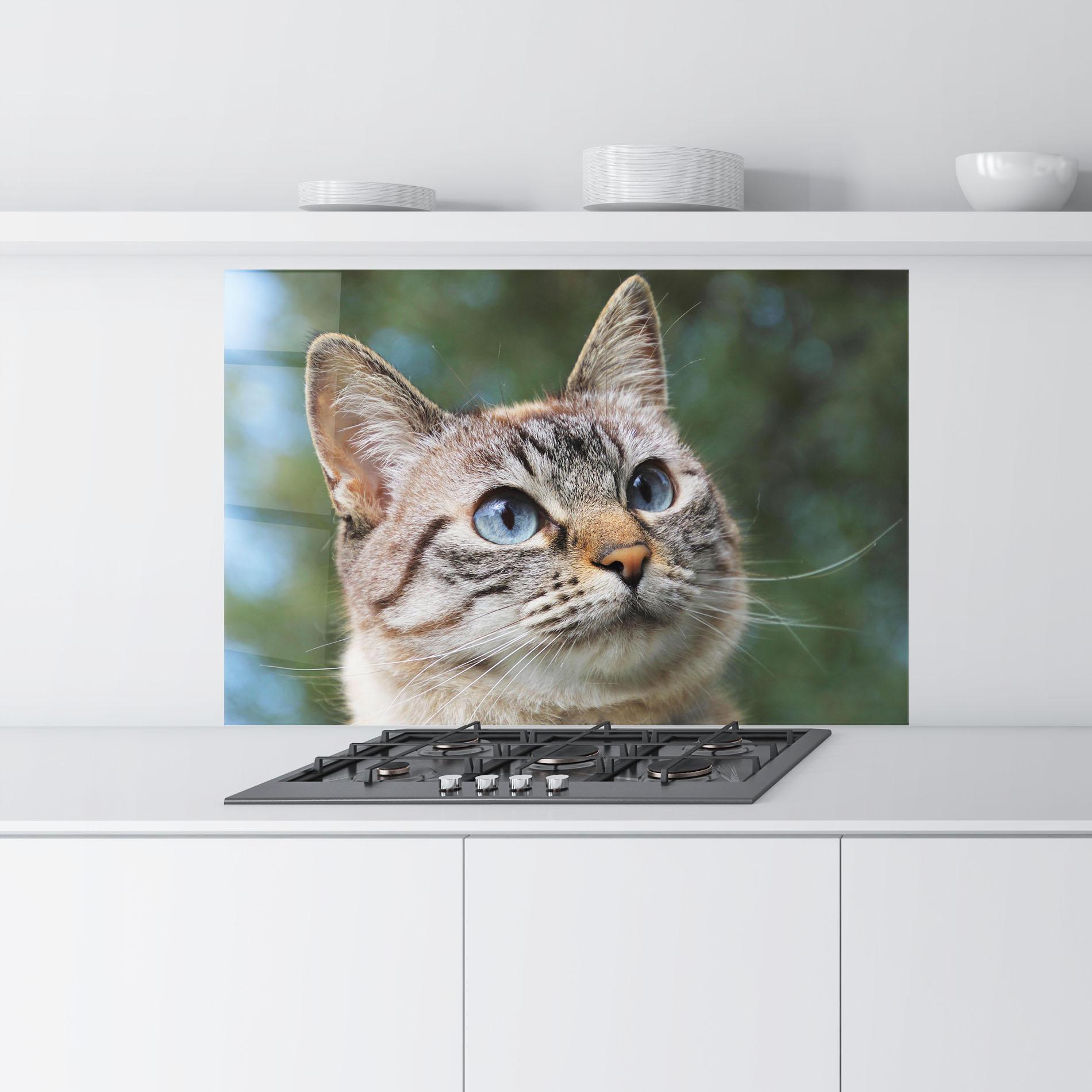 Стъклен панел за кухня Blue Eyes Cutie mockup 9