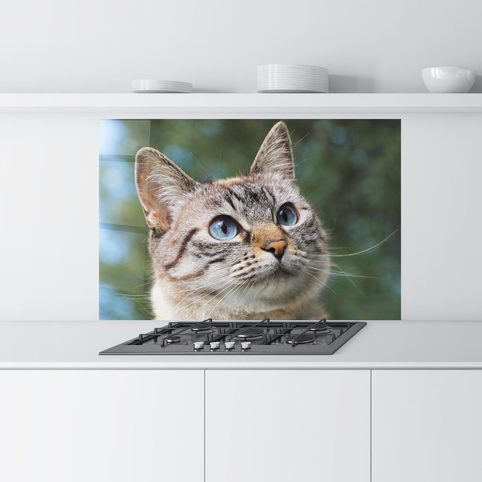 Blue Eyes Cutie mockup 9