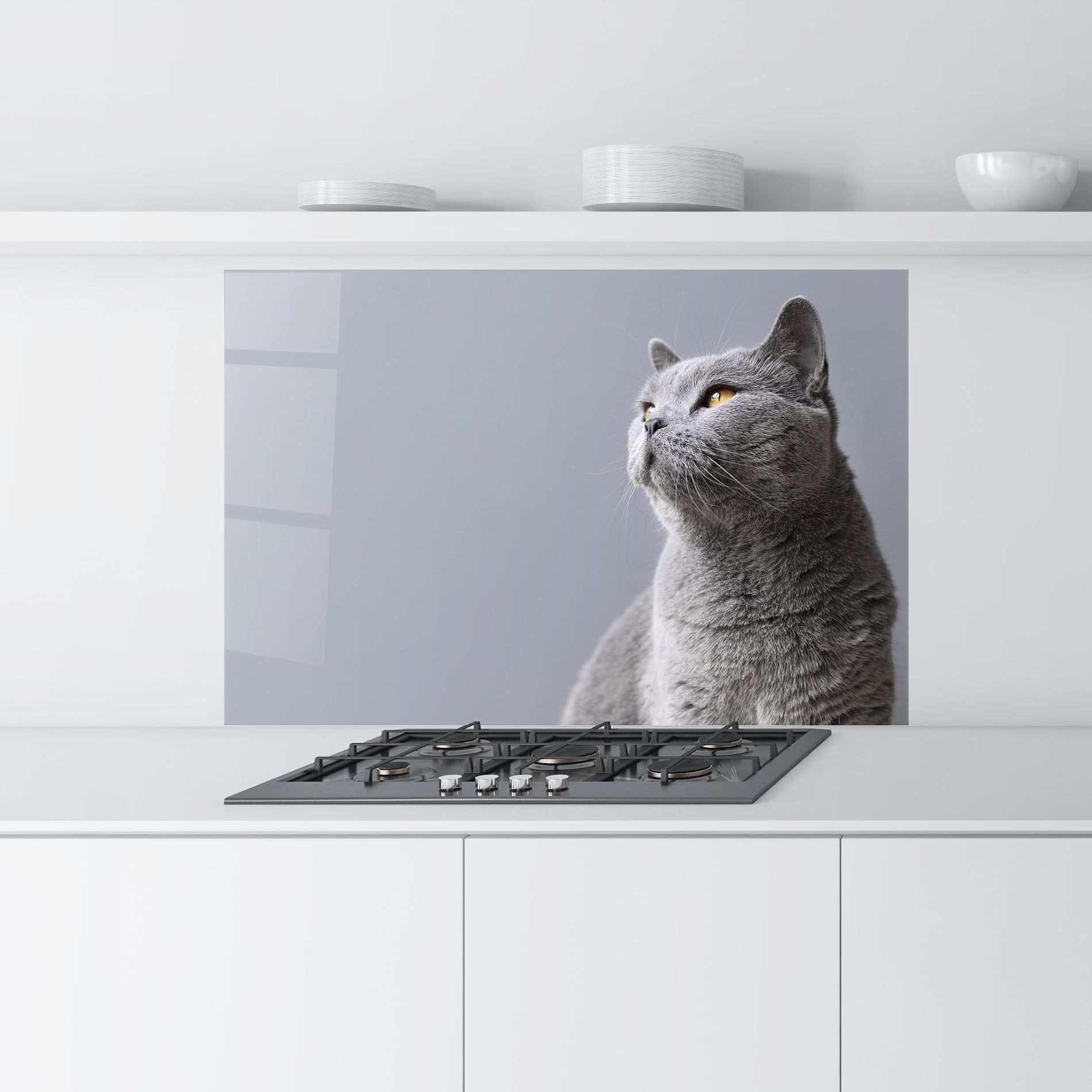 Gray Kitty mockup 9