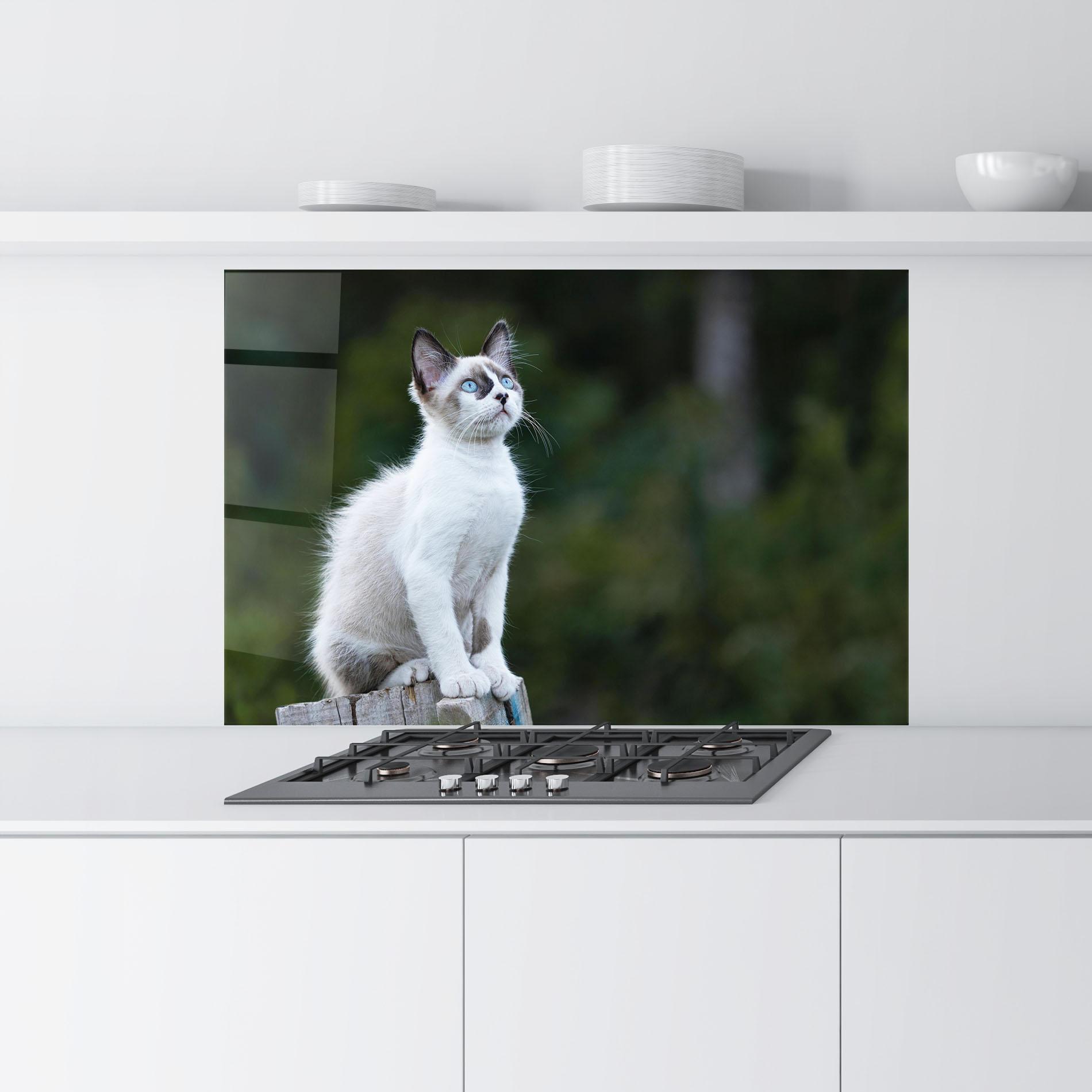 Стъклен панел за кухня Grey Cat In Nature mockup 9