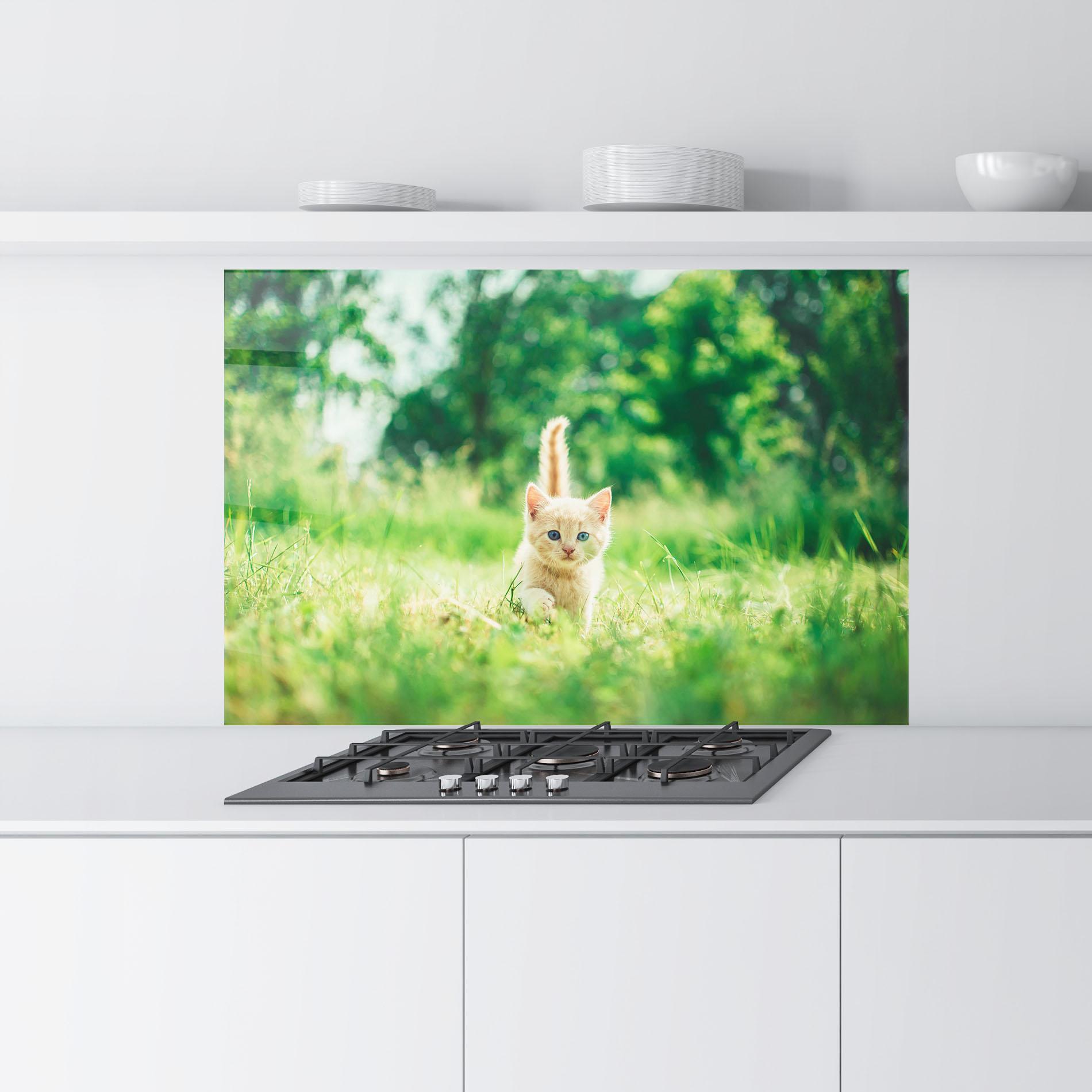 Стъклен панел за кухня Little Cute Cat mockup 9