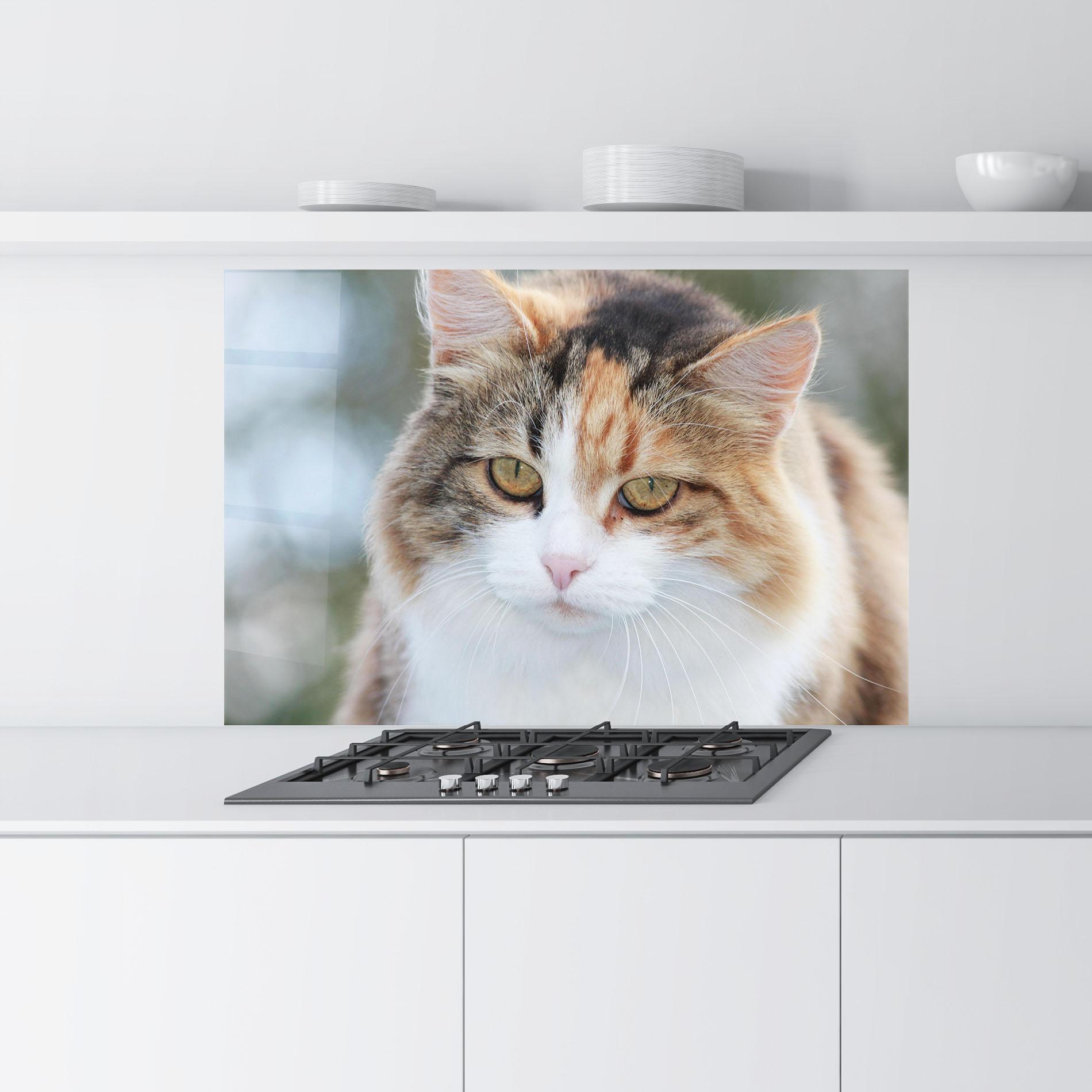 Стъклен панел за кухня Orange Brown Cat mockup 9