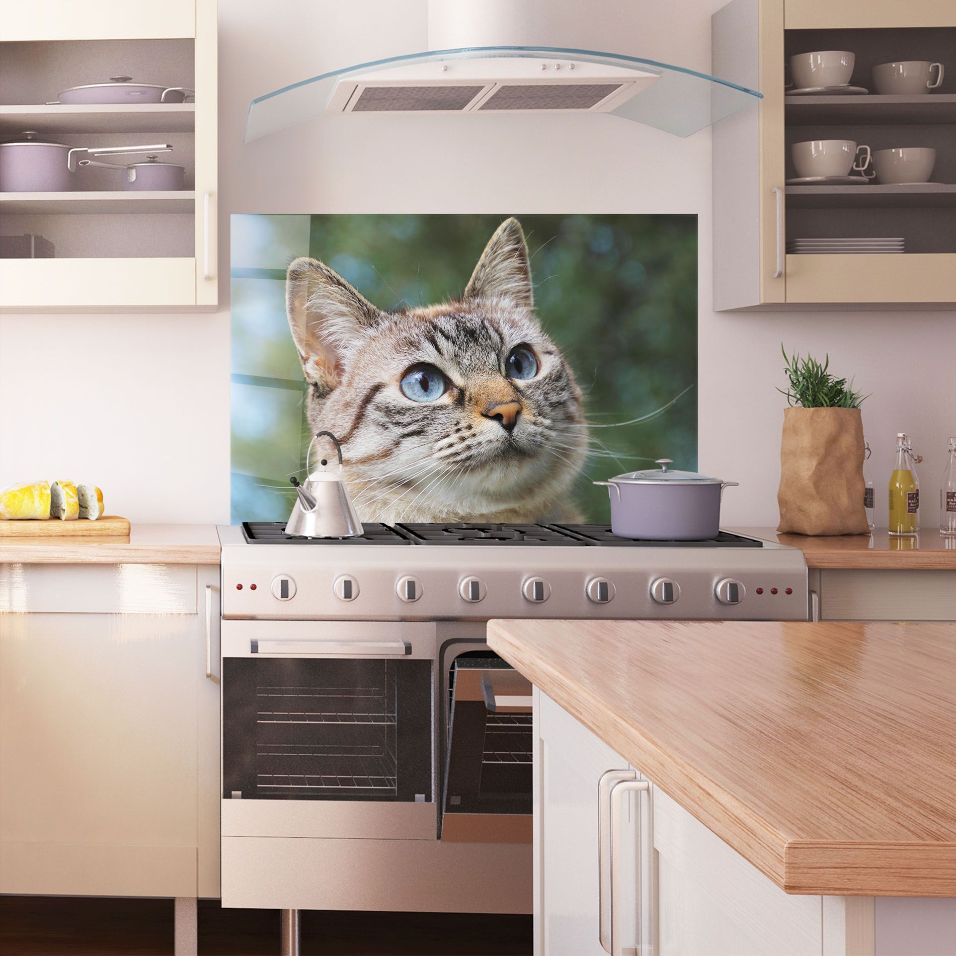 Blue Eyes Cutie mockup 1