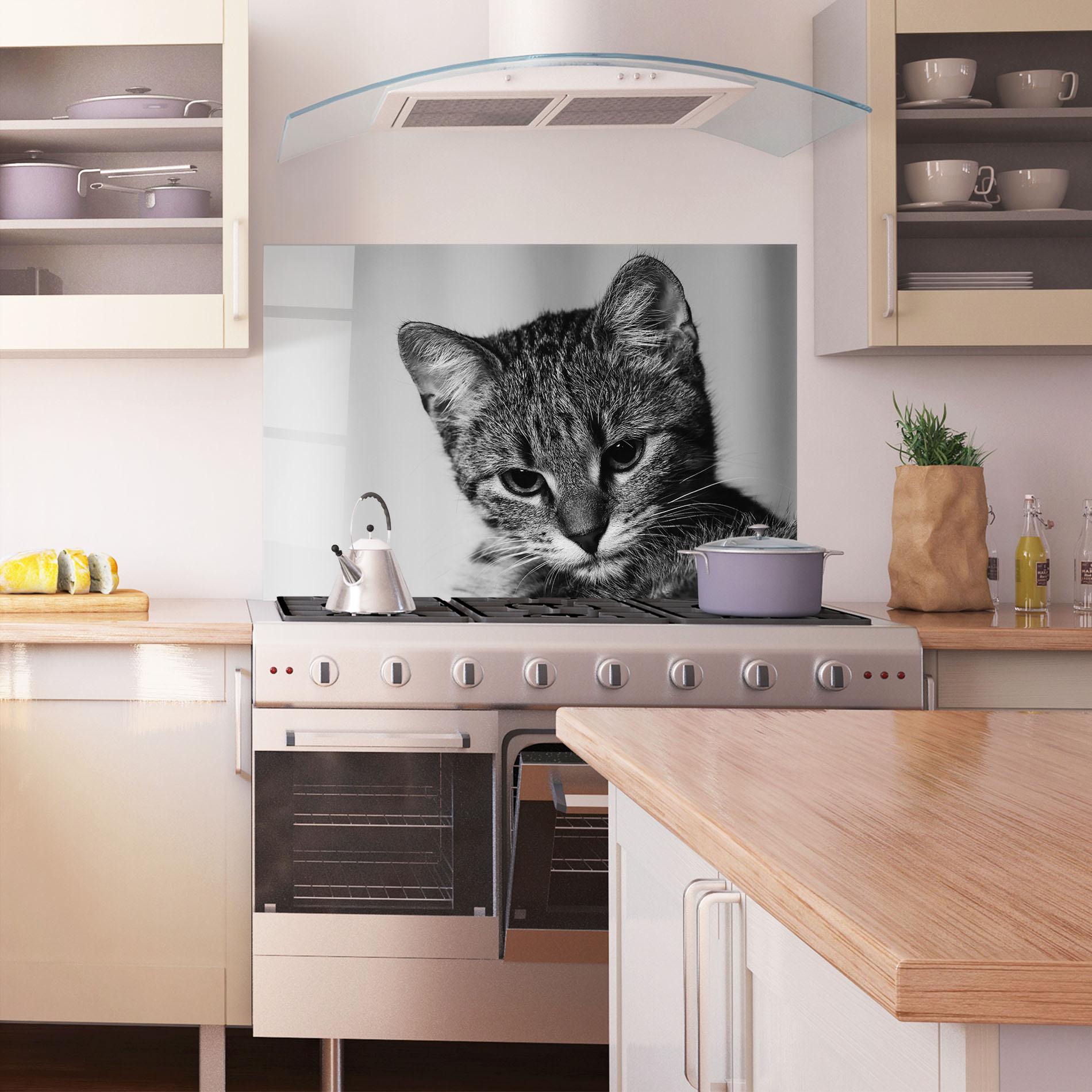Стъклен панел за кухня Grey Focused Cat mockup 1