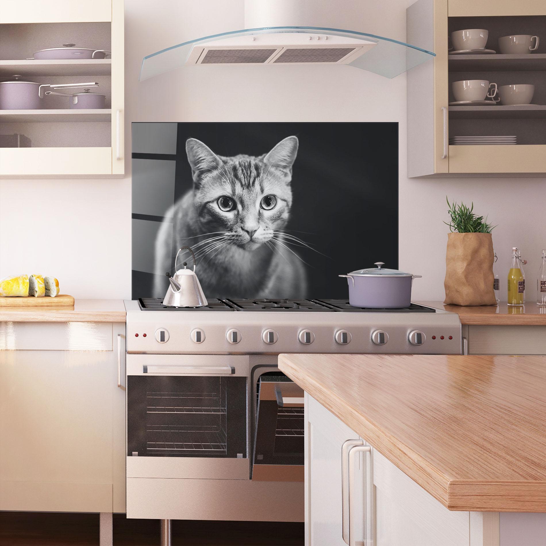 Стъклен панел за кухня Grey Kitty On Black mockup 1
