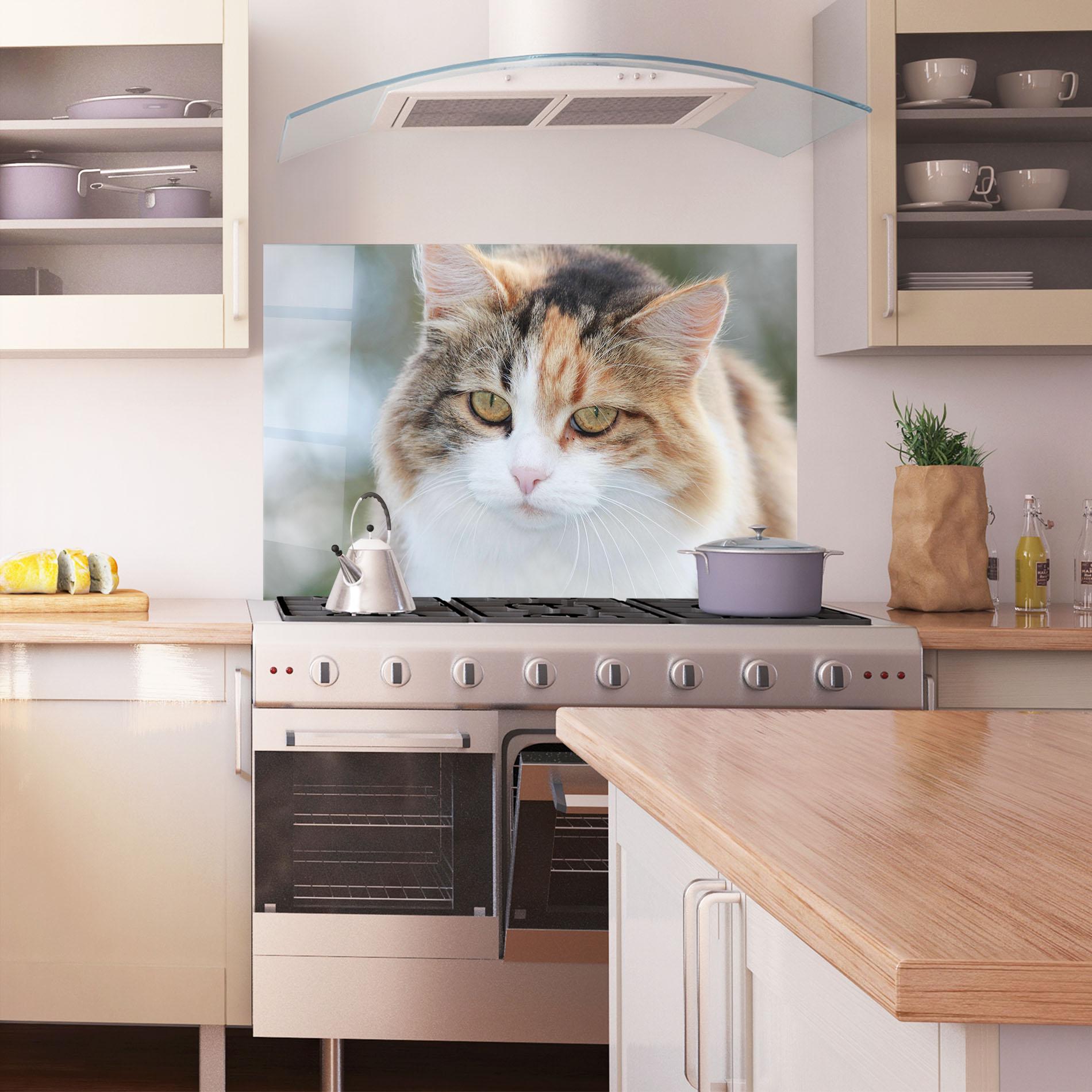 Стъклен панел за кухня Orange Brown Cat mockup 1