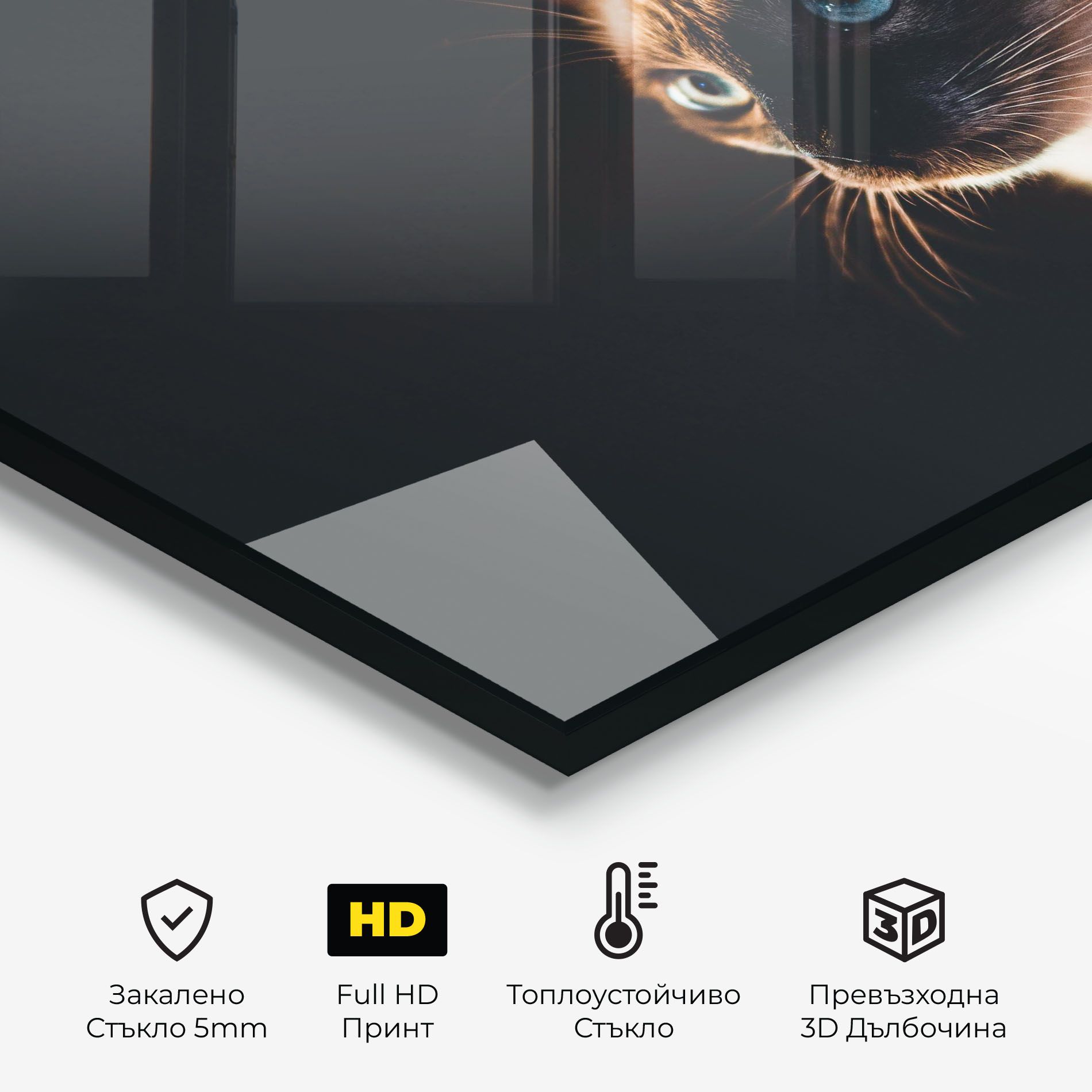 Blue Eyes Cat In Dark mockup 2