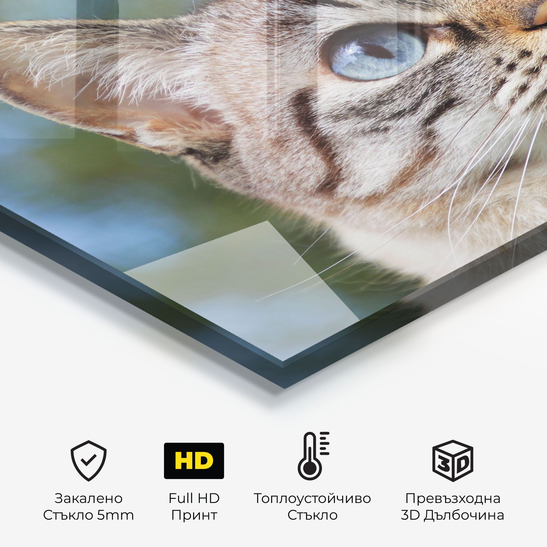 Blue Eyes Cutie mockup 2