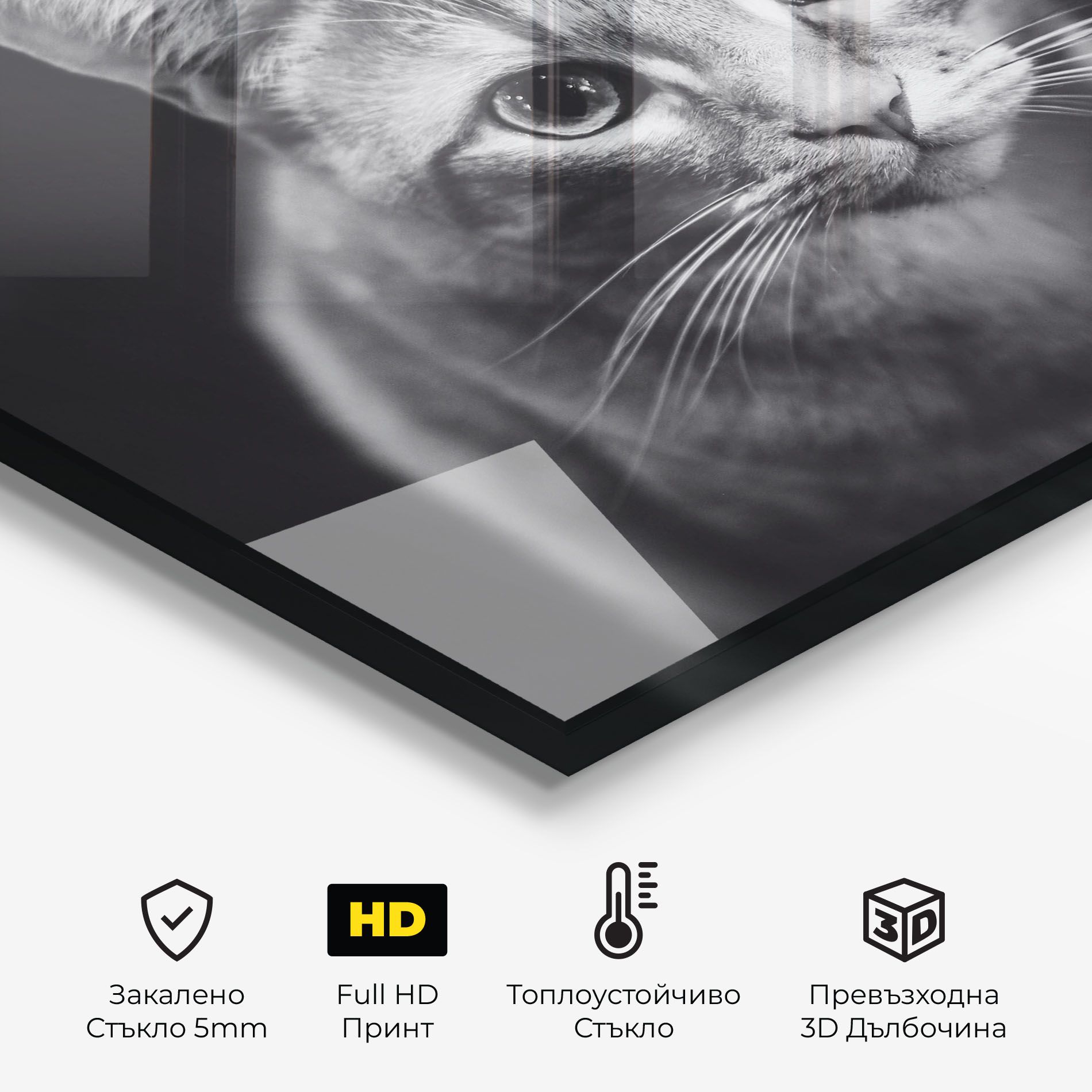 Grey Kitty On Black mockup 2