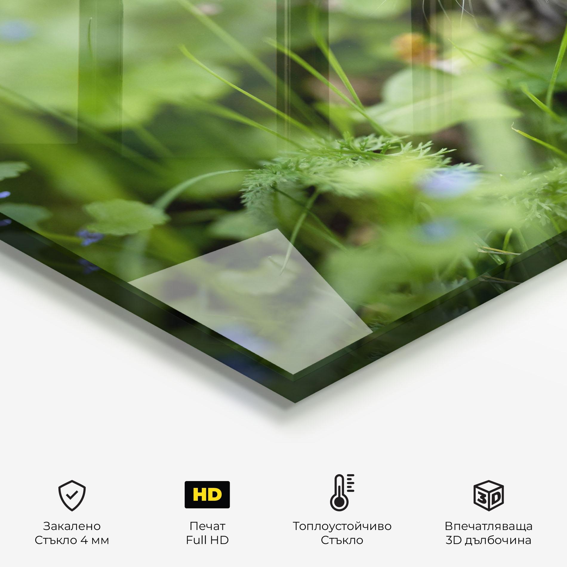 Стъклен панел за кухня Brown Baby Cat mockup 2