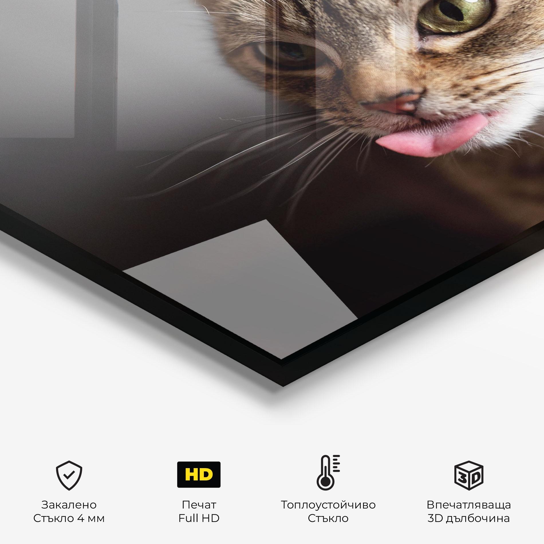Стъклен панел за кухня Brown Green Eyes Cat mockup 2
