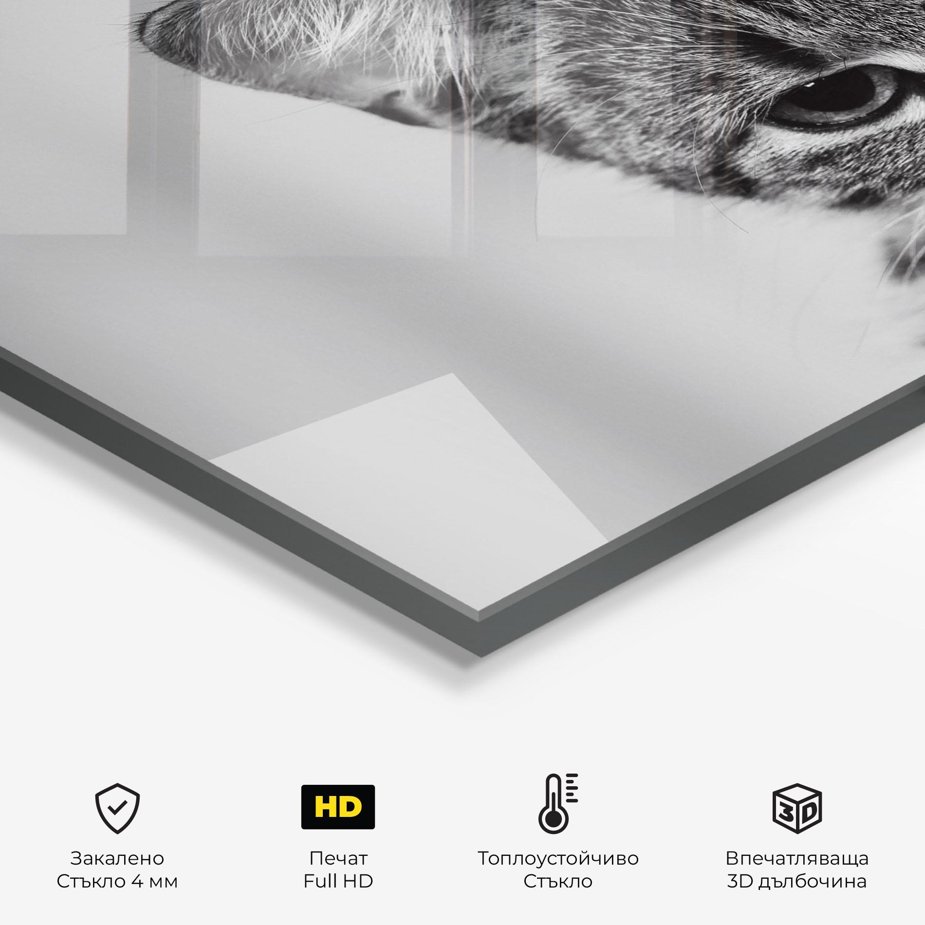 Стъклен панел за кухня Grey Focused Cat mockup 2