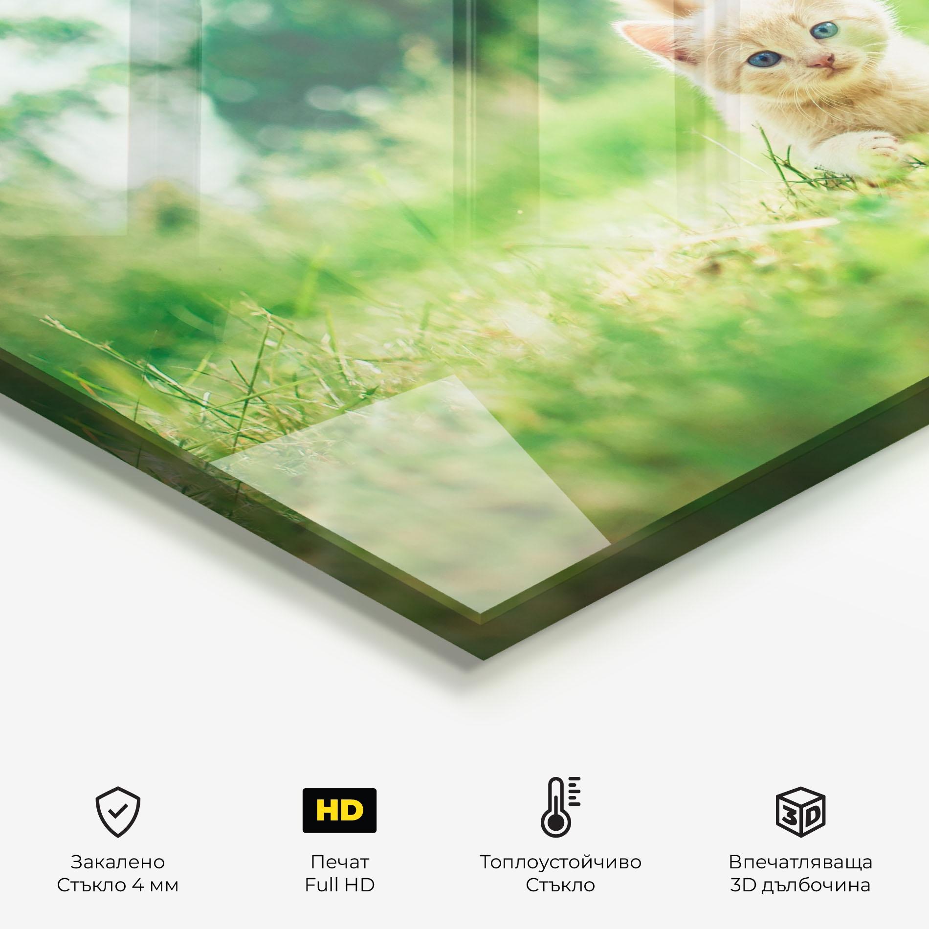 Стъклен панел за кухня Little Cute Cat mockup 2