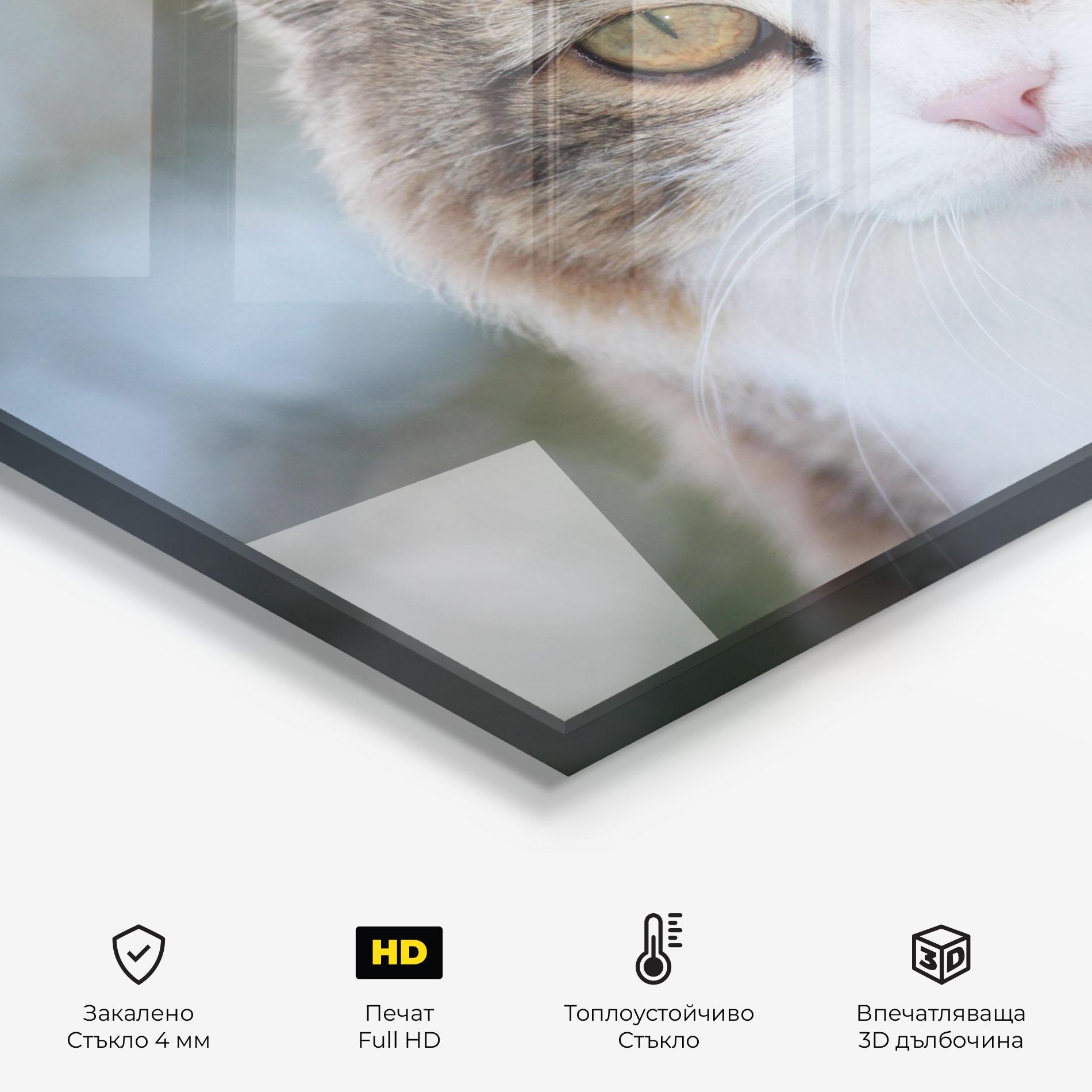 Стъклен панел за кухня Orange Brown Cat mockup 2