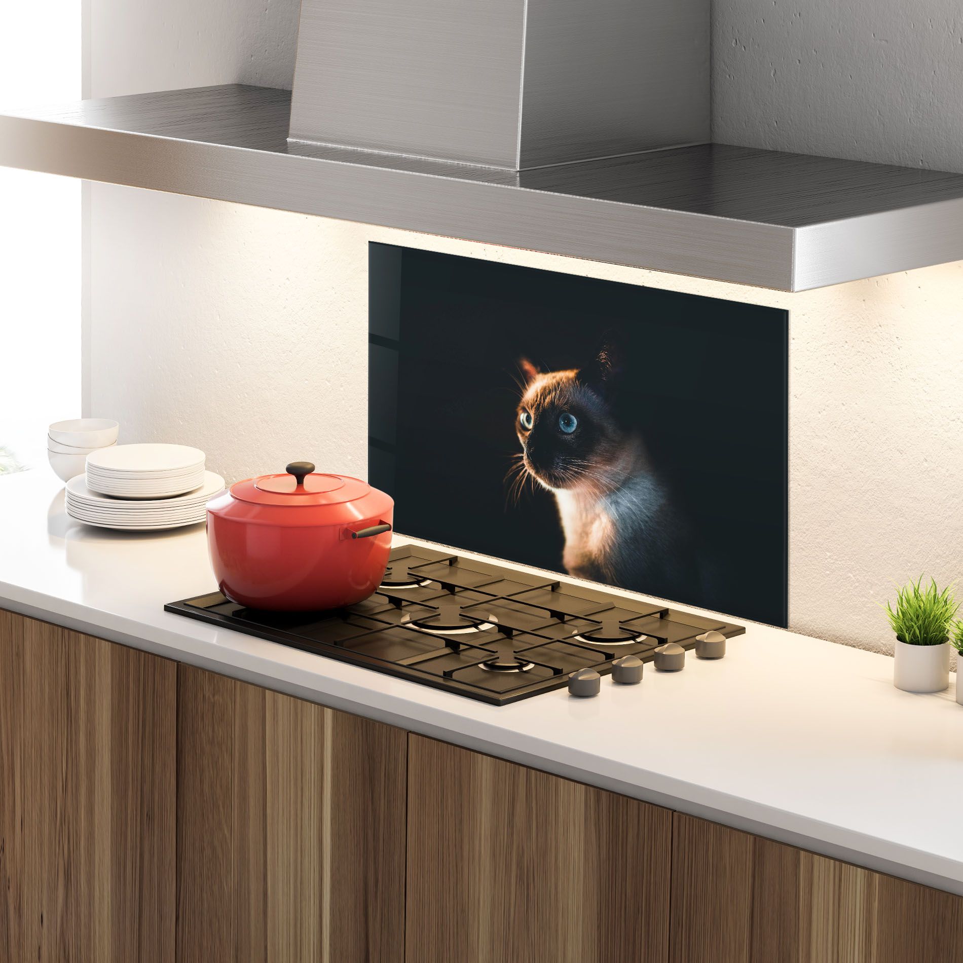 Blue Eyes Cat In Dark mockup 4