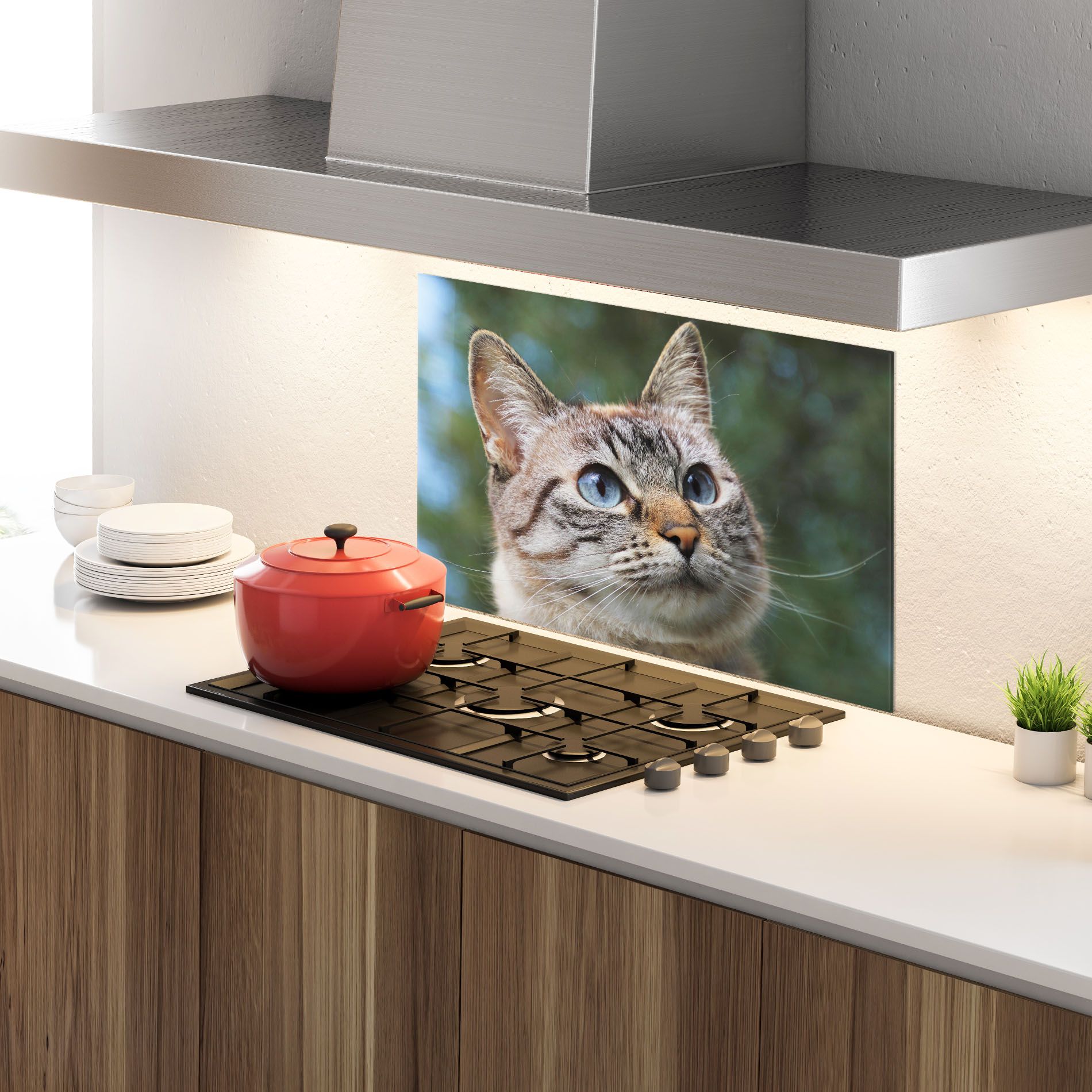 Blue Eyes Cutie mockup 4