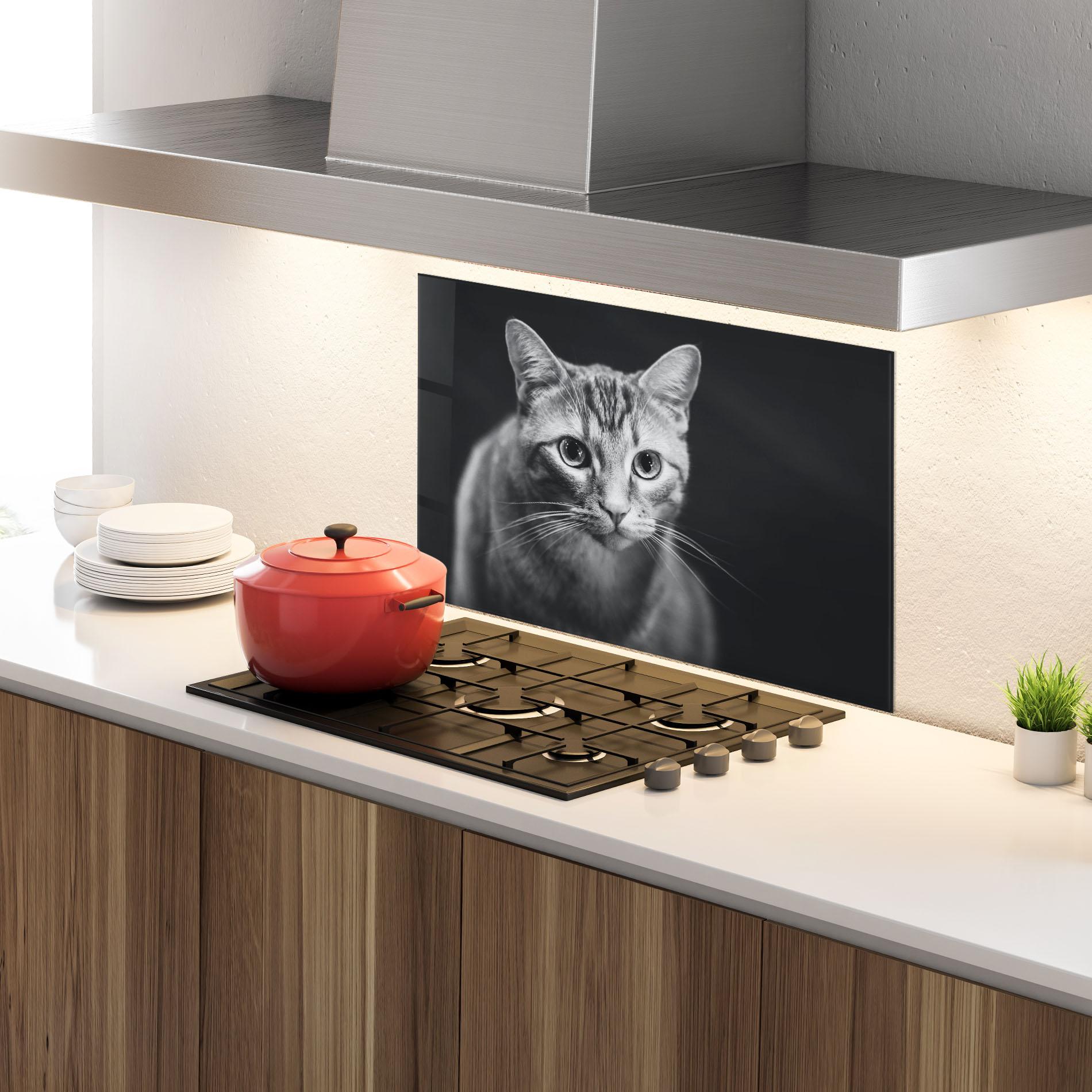 Стъклен панел за кухня Grey Kitty On Black mockup 4