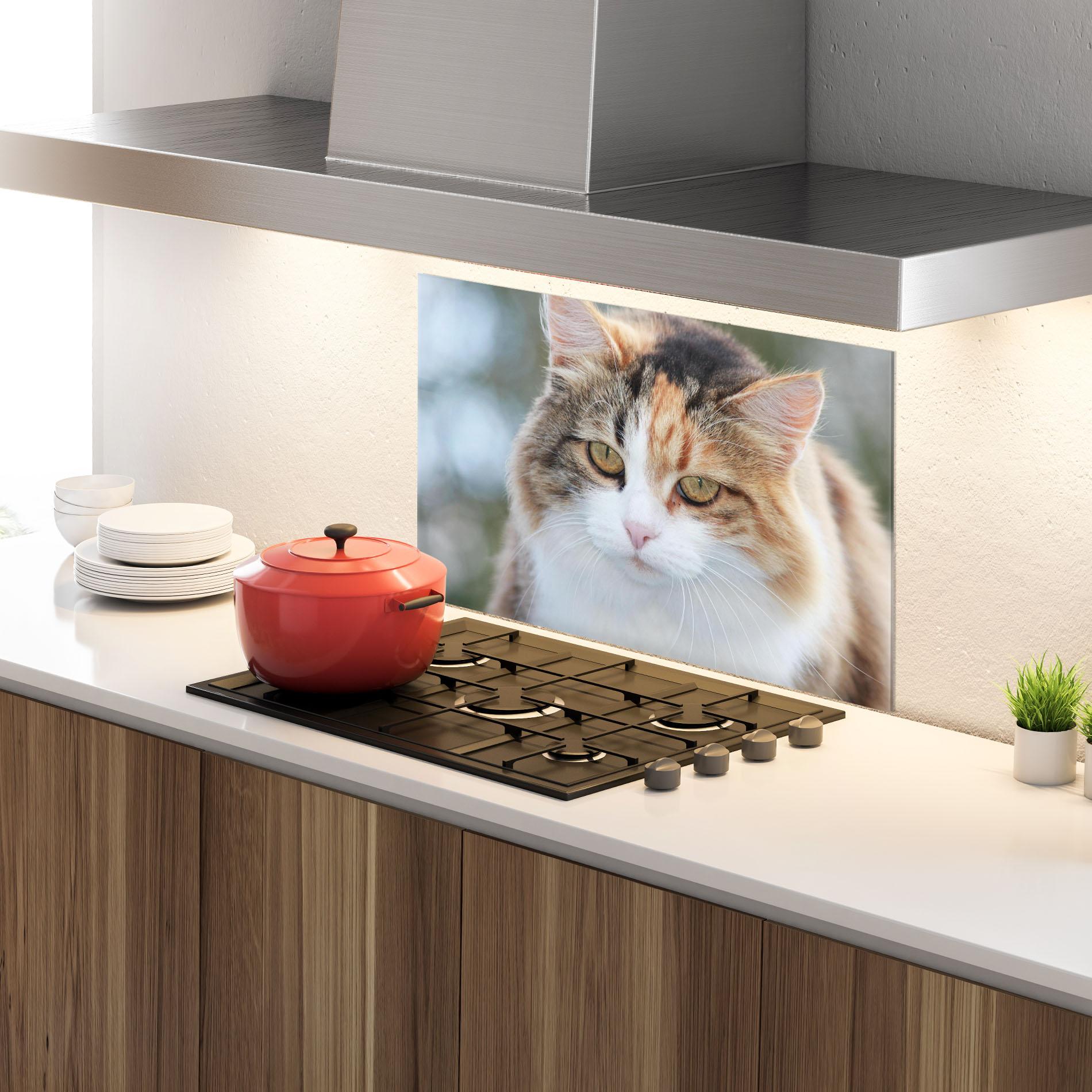 Стъклен панел за кухня Orange Brown Cat mockup 4