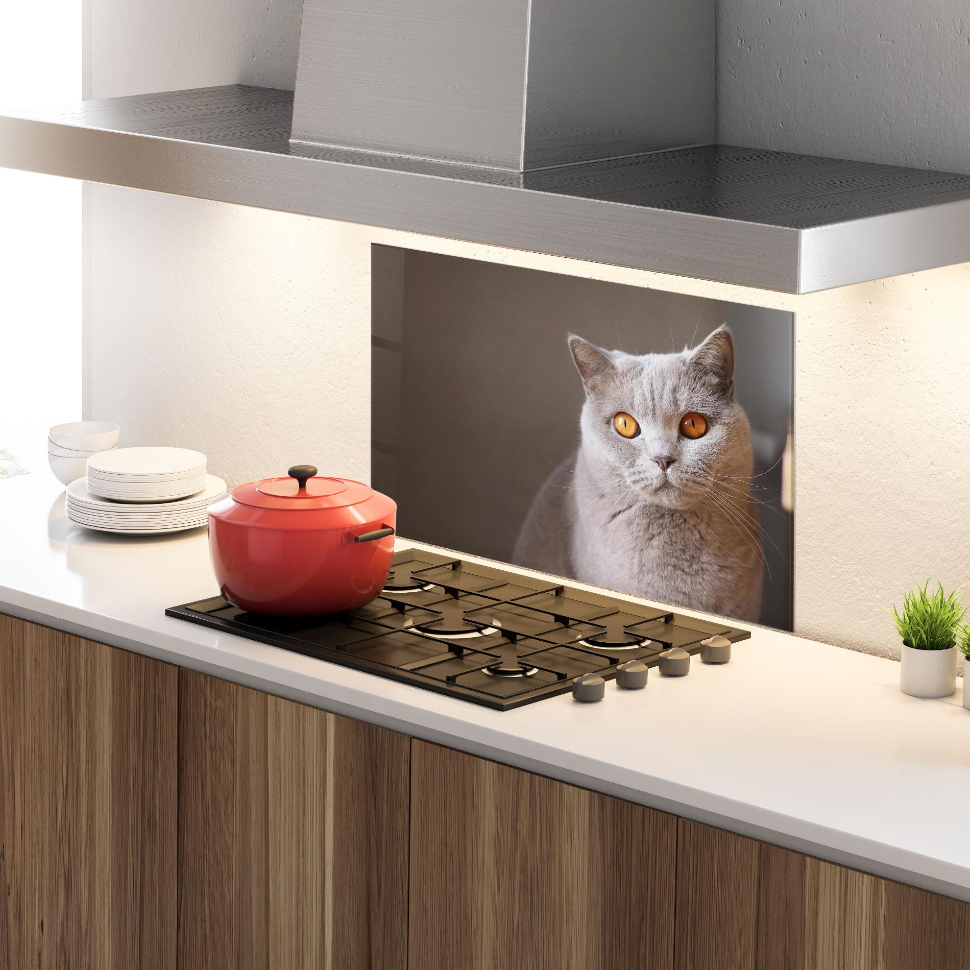 Стъклен панел за кухня Orange Eyes Cat mockup 4