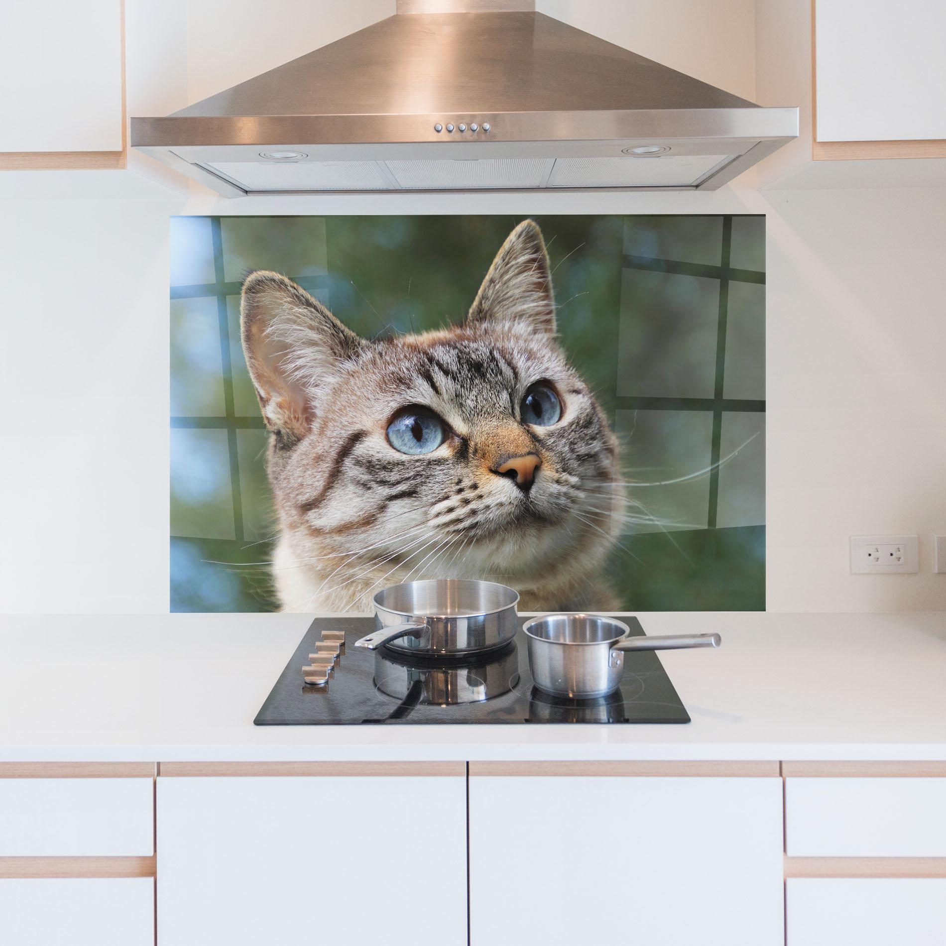 Стъклен панел за кухня Blue Eyes Cutie mockup 5