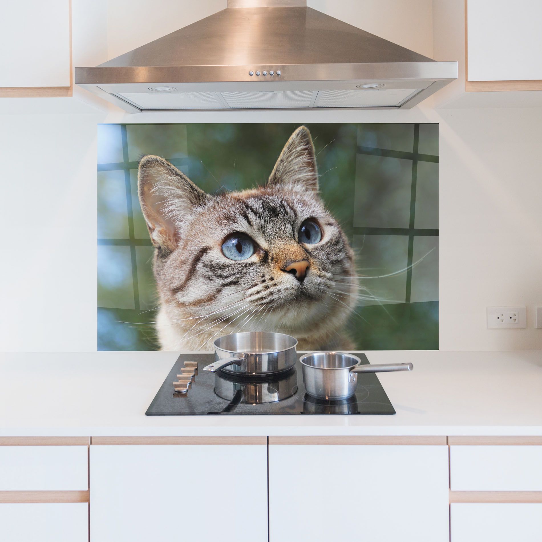 Blue Eyes Cutie mockup 5