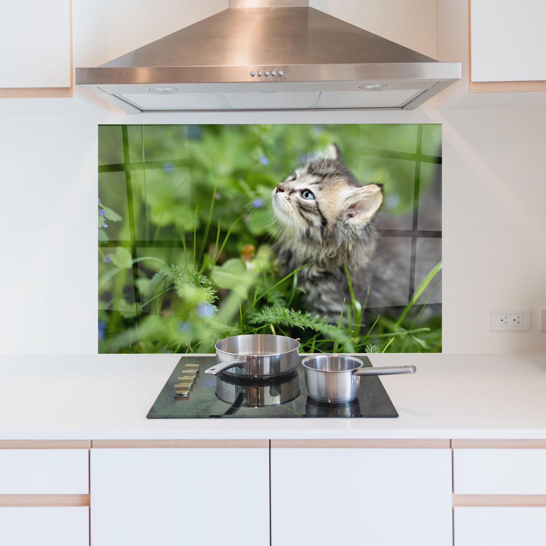Стъклен панел за кухня Brown Baby Cat mockup 5