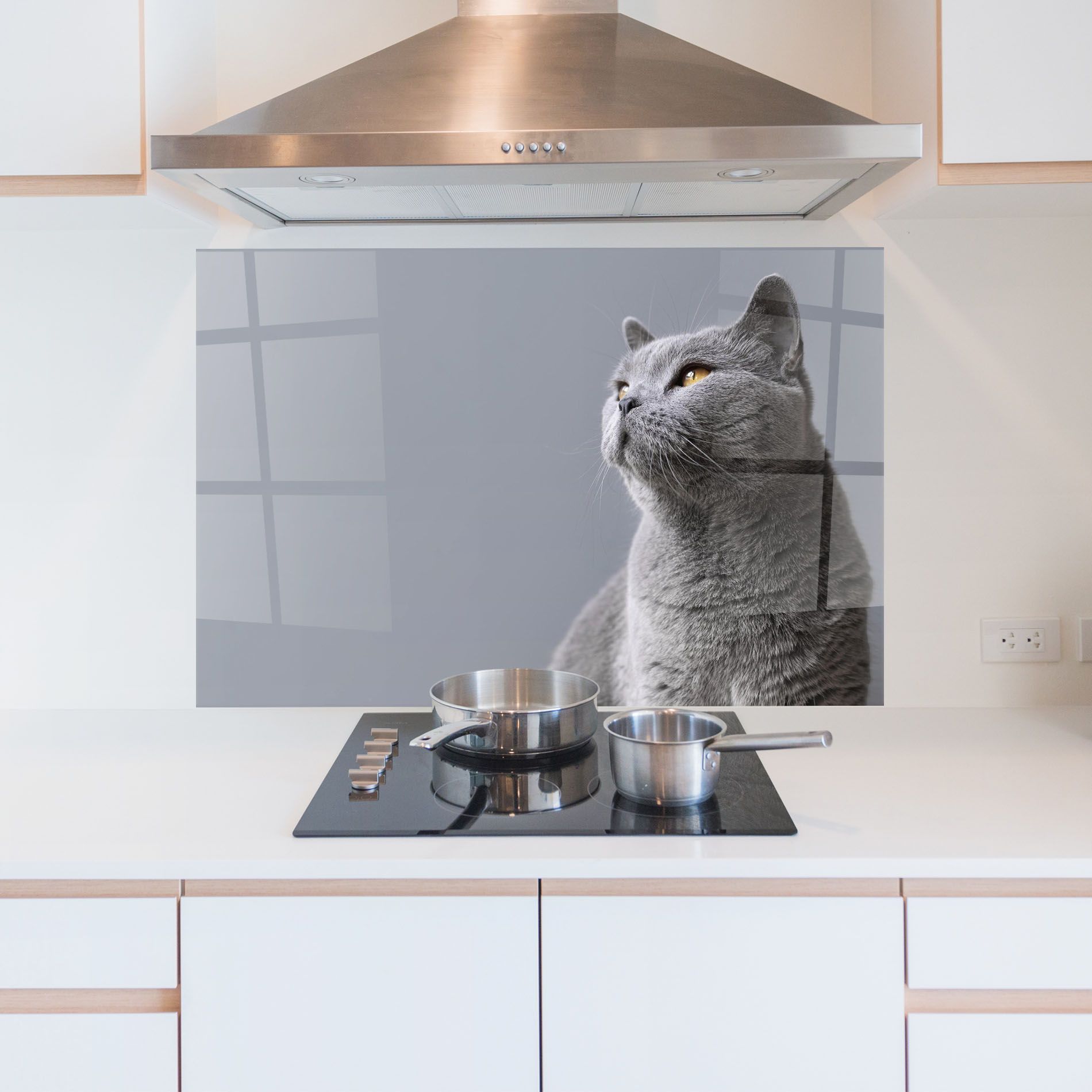 Gray Kitty mockup 5
