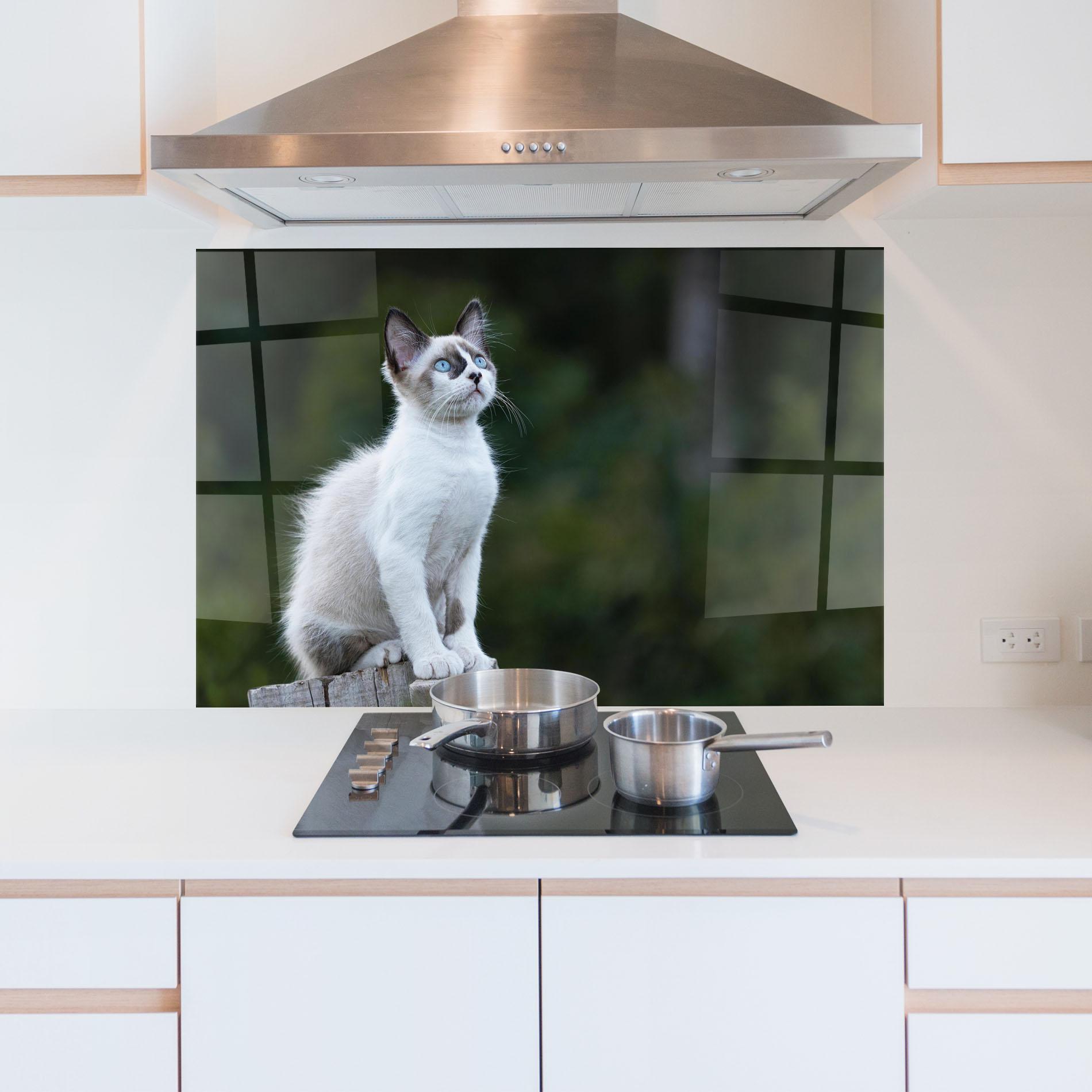 Стъклен панел за кухня Grey Cat In Nature mockup 5