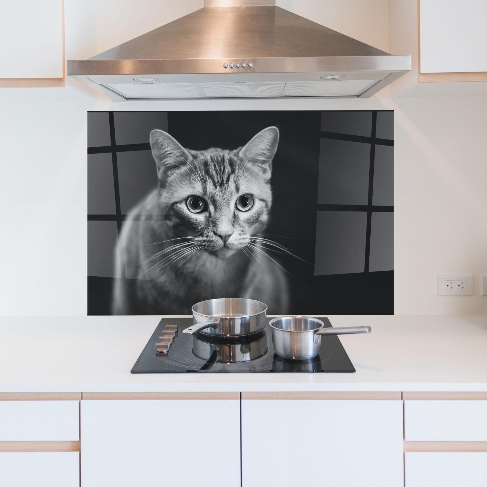 Стъклен панел за кухня Grey Kitty On Black mockup 5