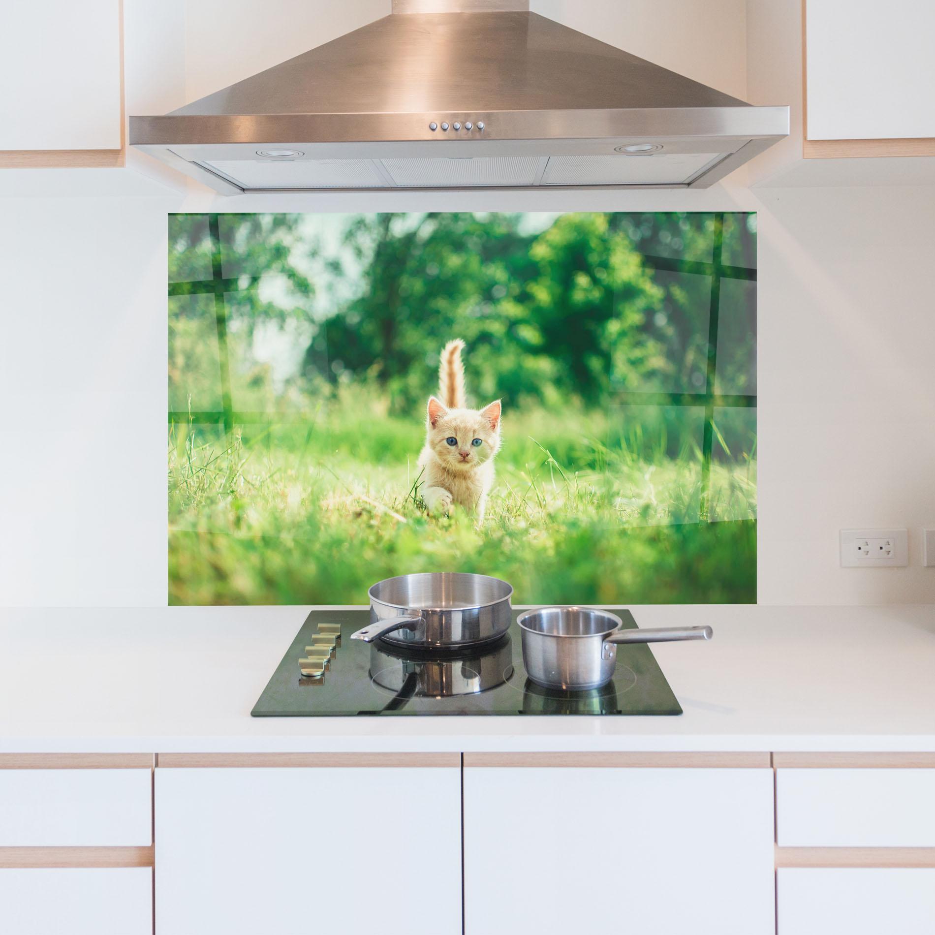 Стъклен панел за кухня Little Cute Cat mockup 5