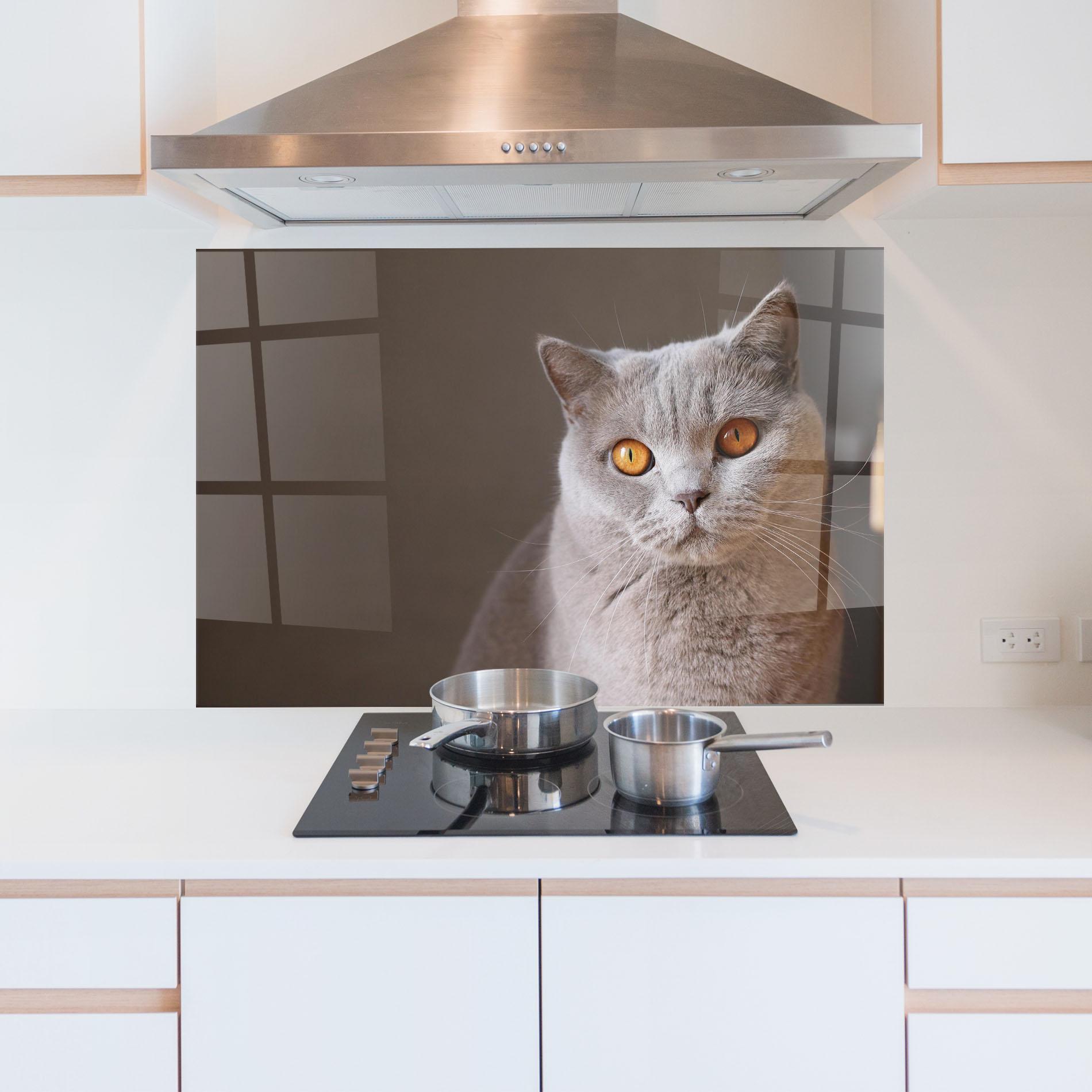 Стъклен панел за кухня Orange Eyes Cat mockup 5