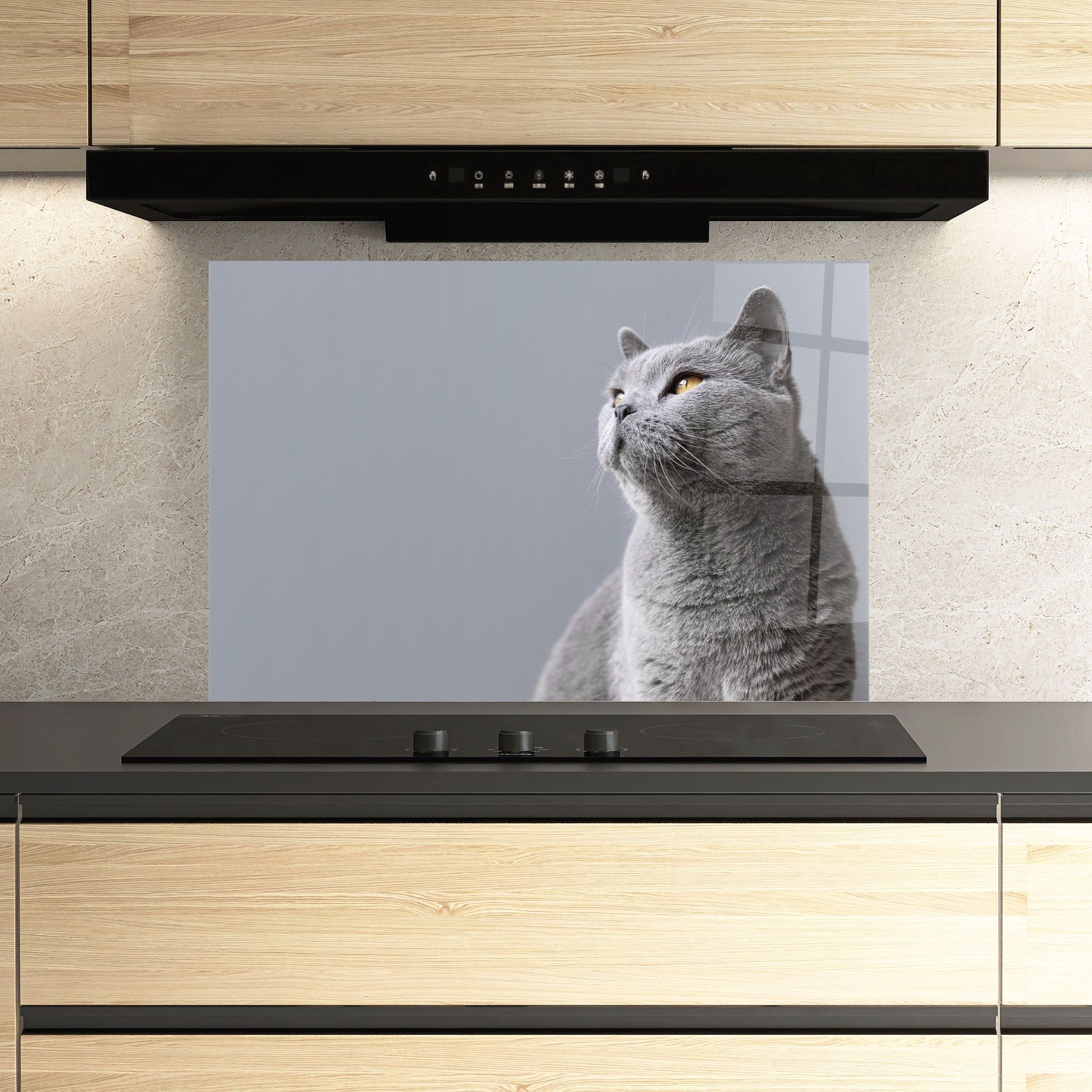 Gray Kitty mockup 3