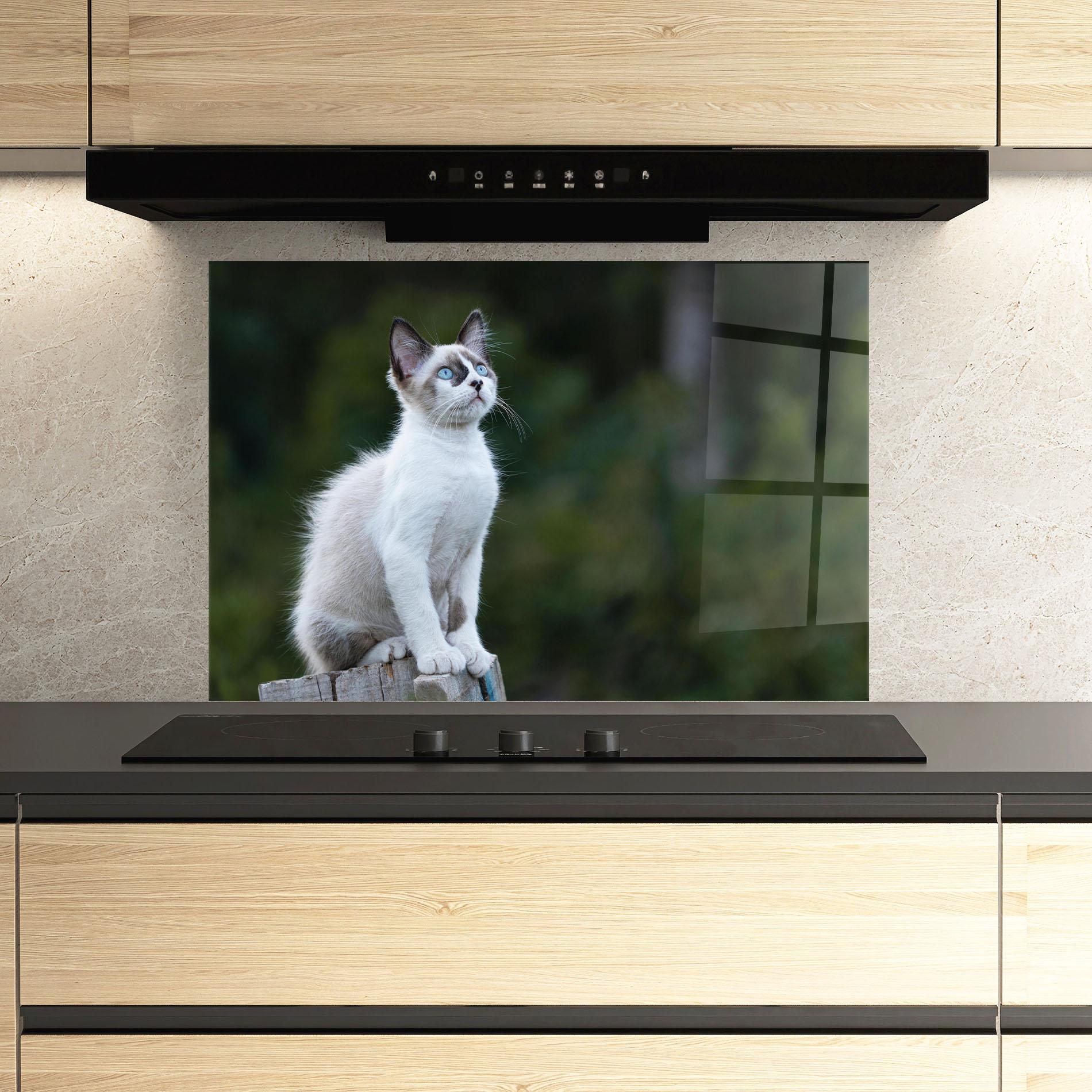 Стъклен панел за кухня Grey Cat In Nature mockup 3