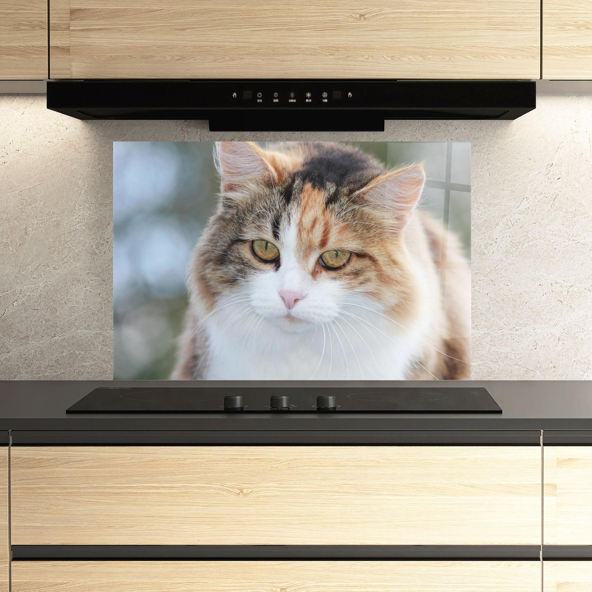 Стъклен панел за кухня Orange Brown Cat mockup 3