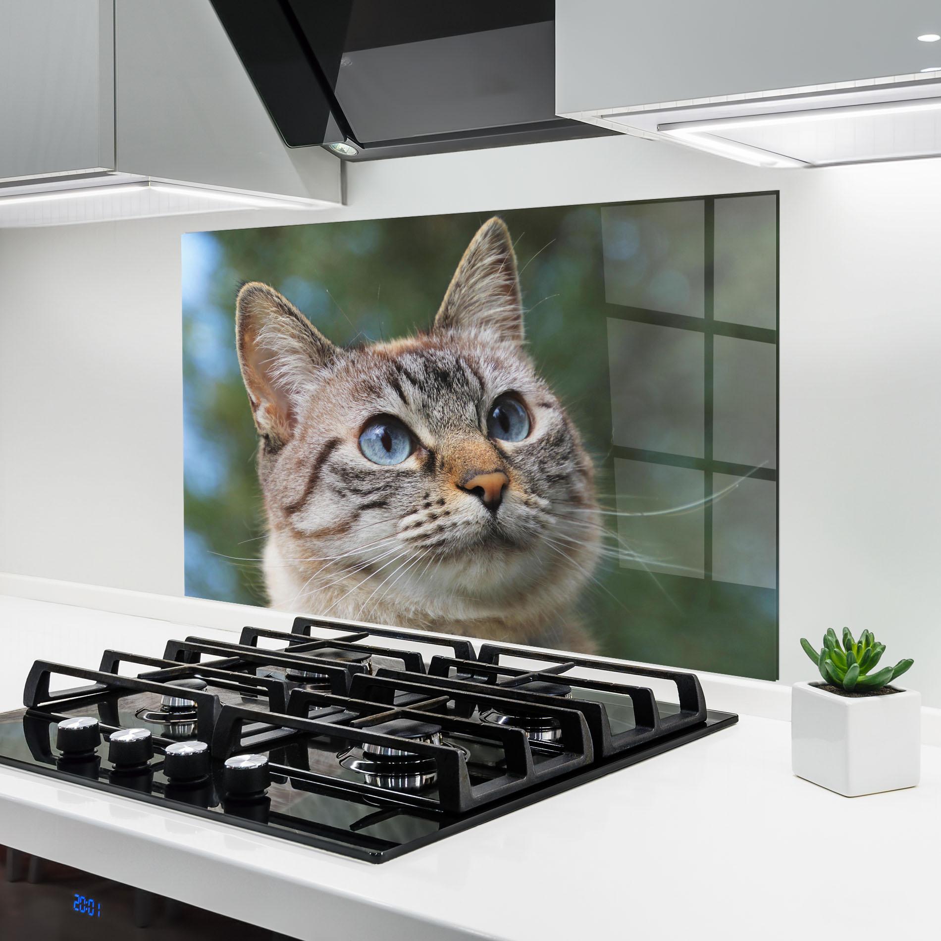 Стъклен панел за кухня Blue Eyes Cutie mockup 6
