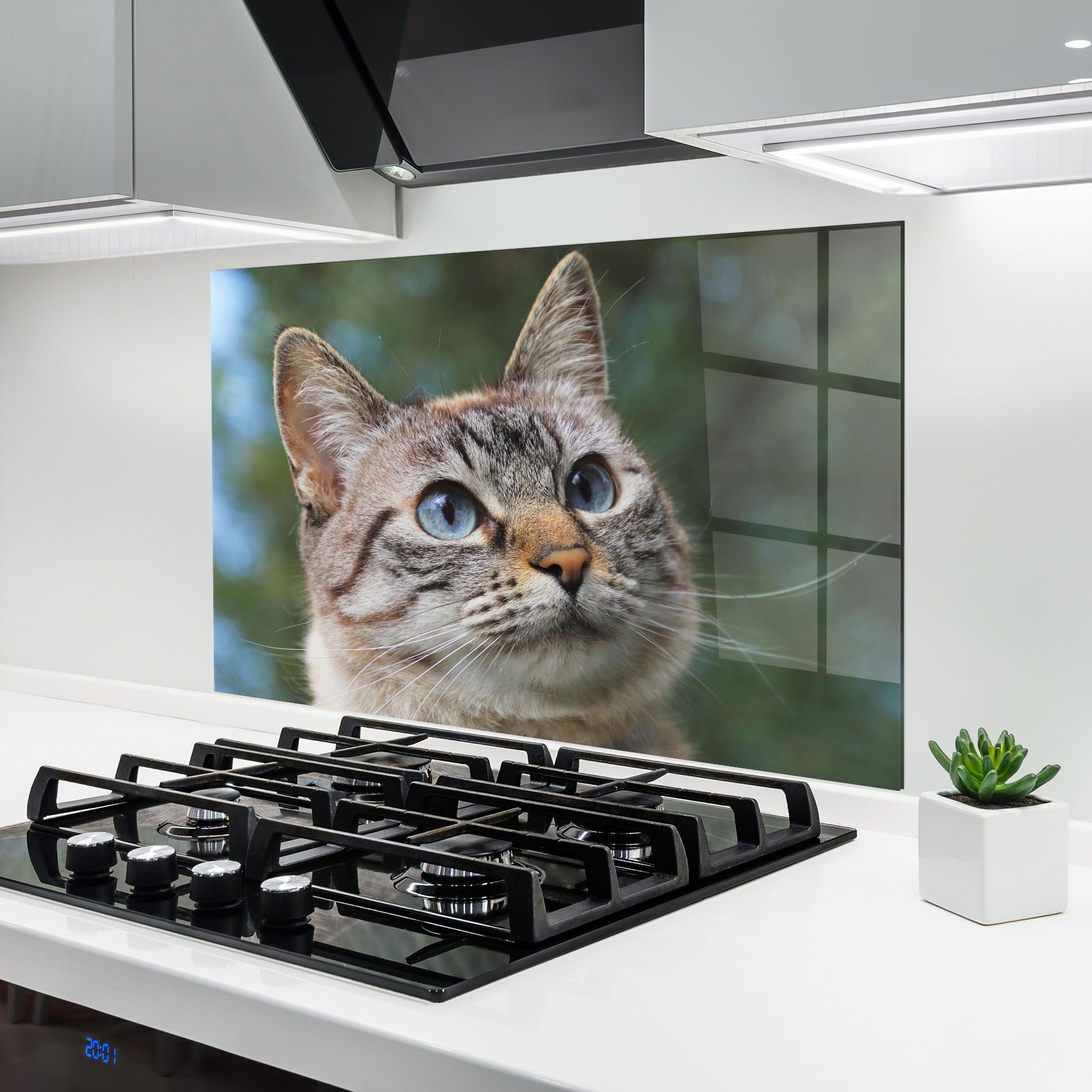 Blue Eyes Cutie mockup 6