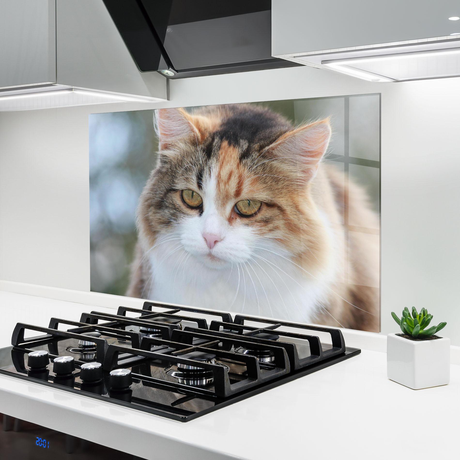 Стъклен панел за кухня Orange Brown Cat mockup 6
