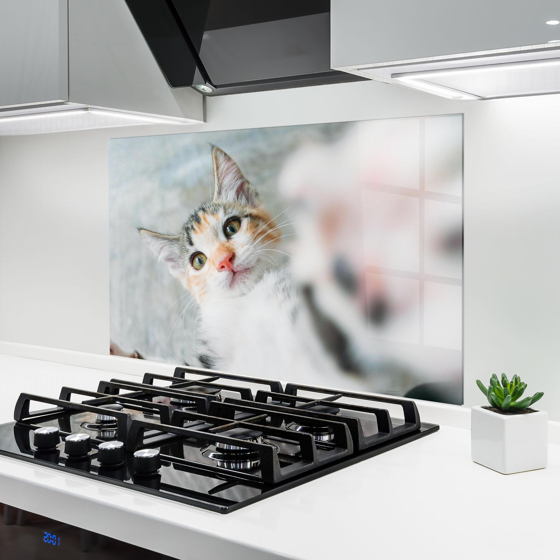 Стъклен панел за кухня Pretty Pink Nose Cat mockup 6