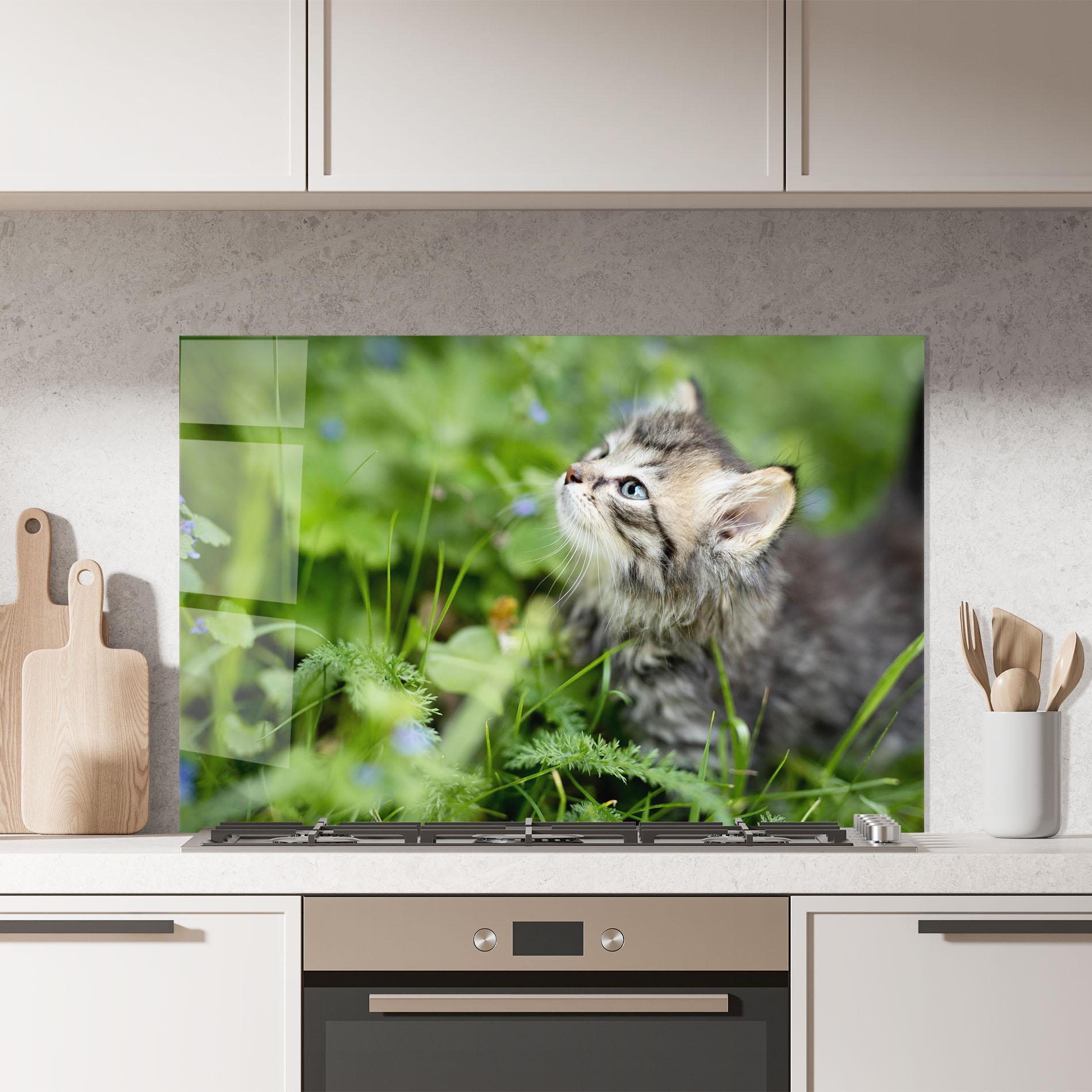 Стъклен панел за кухня Brown Baby Cat mockup 7