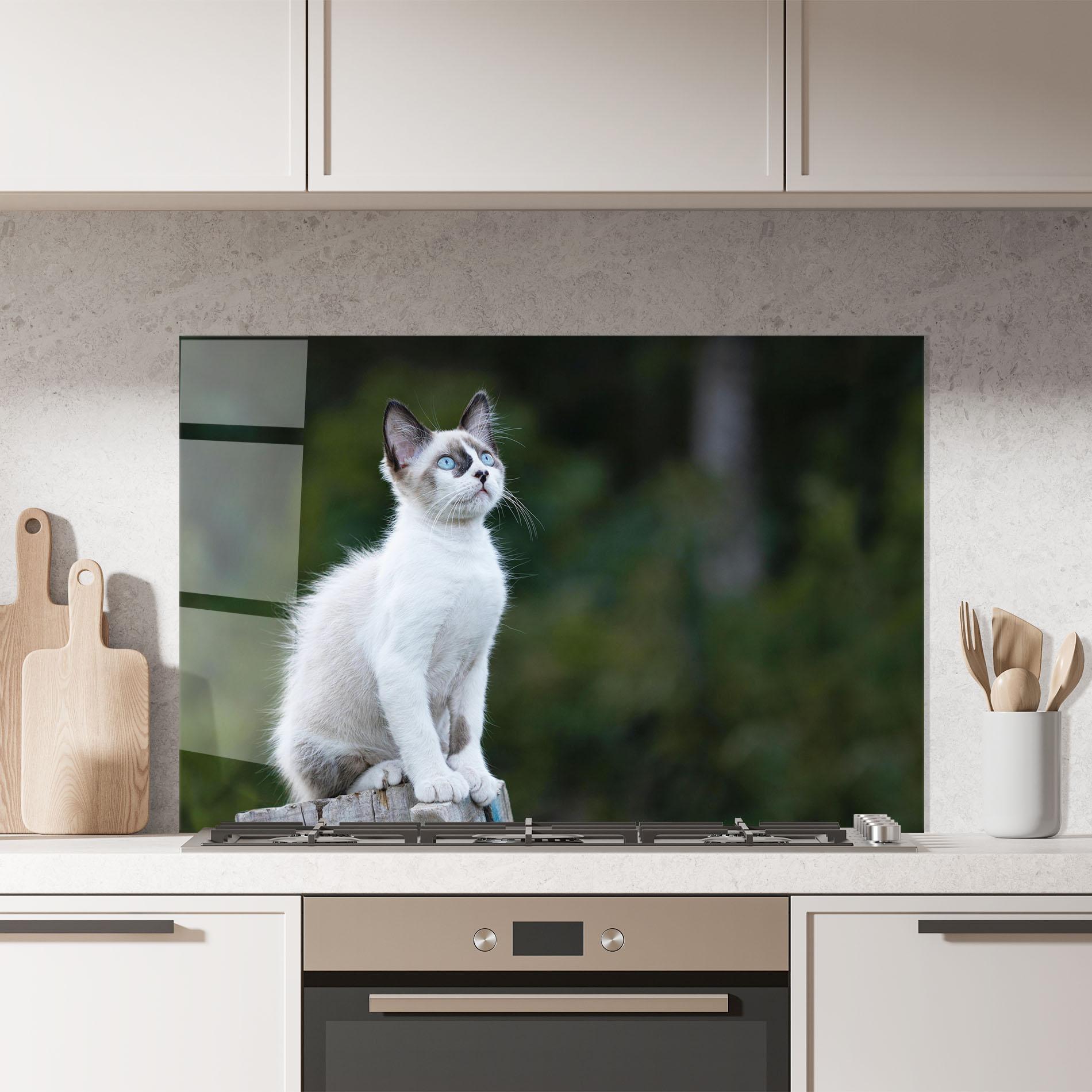 Стъклен панел за кухня Grey Cat In Nature mockup 7