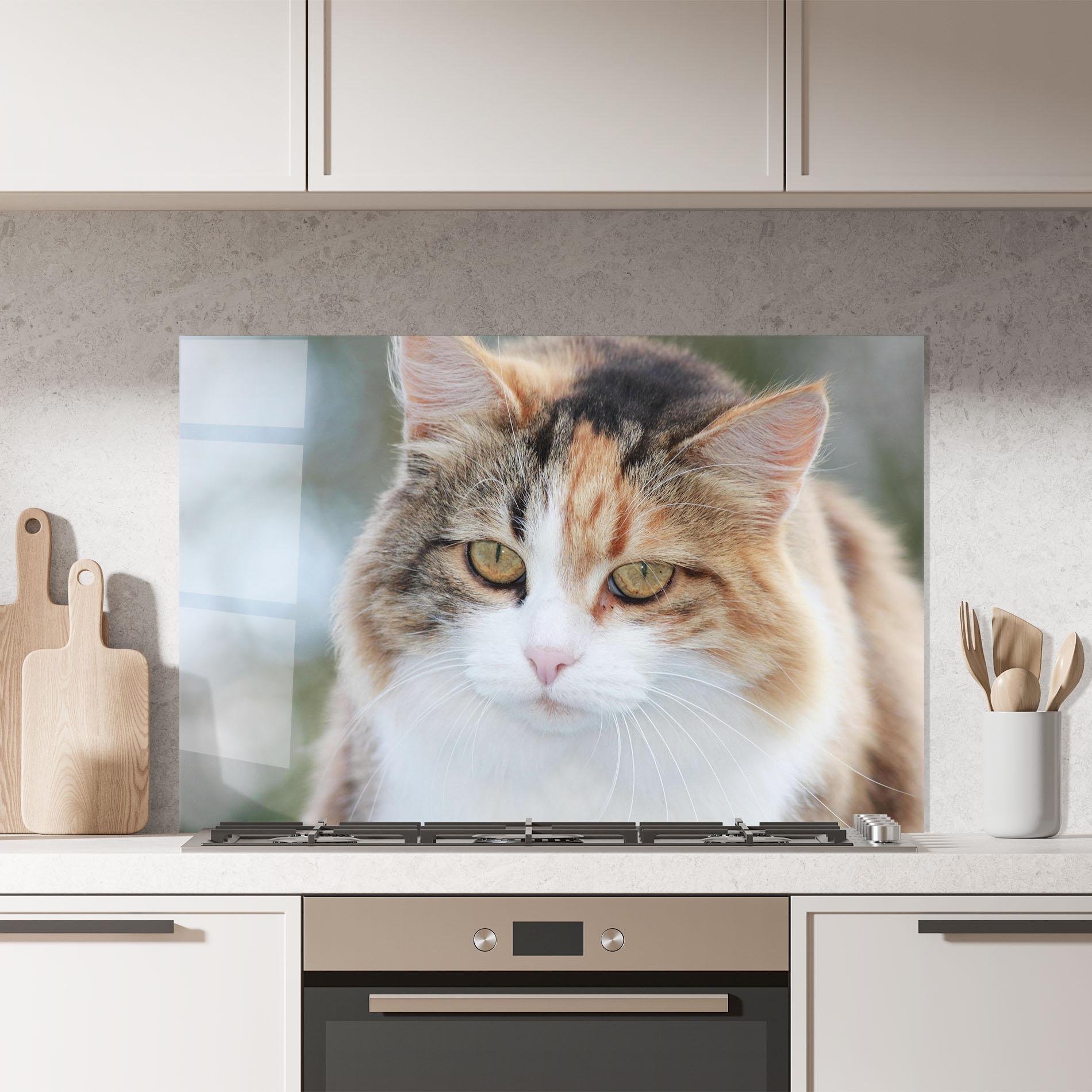 Стъклен панел за кухня Orange Brown Cat mockup 7