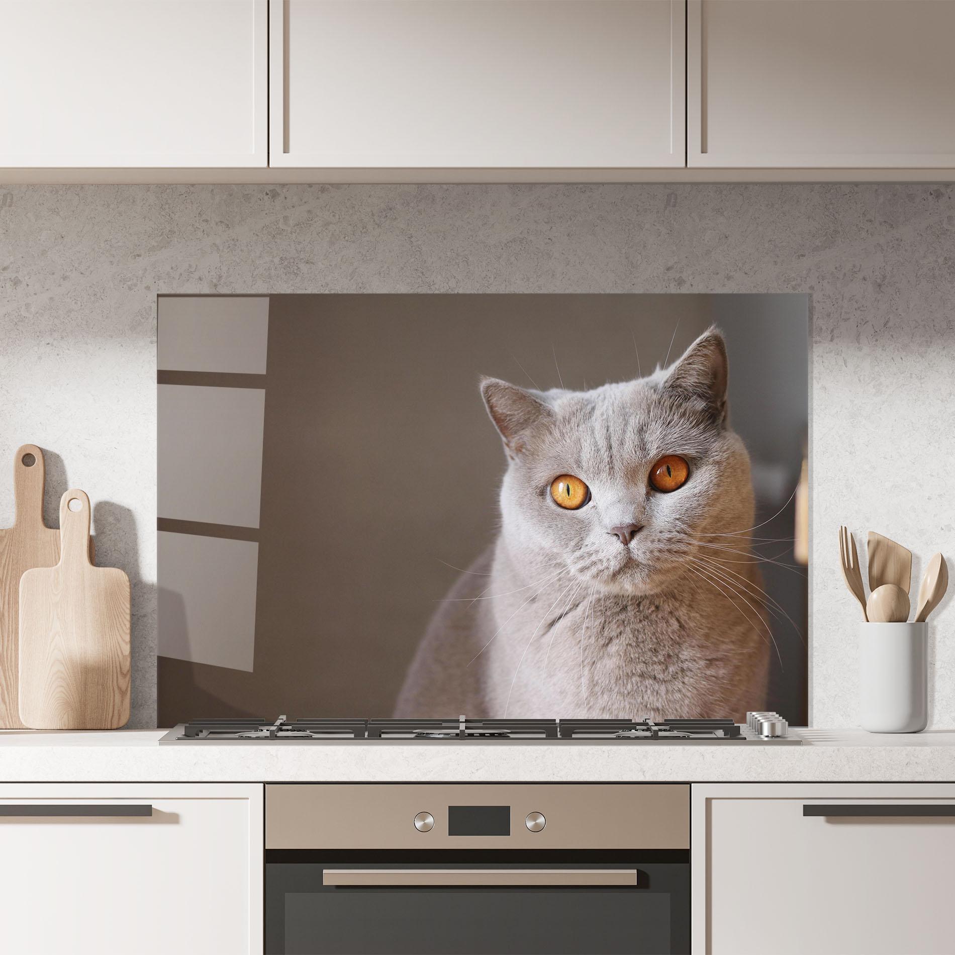 Стъклен панел за кухня Orange Eyes Cat mockup 7