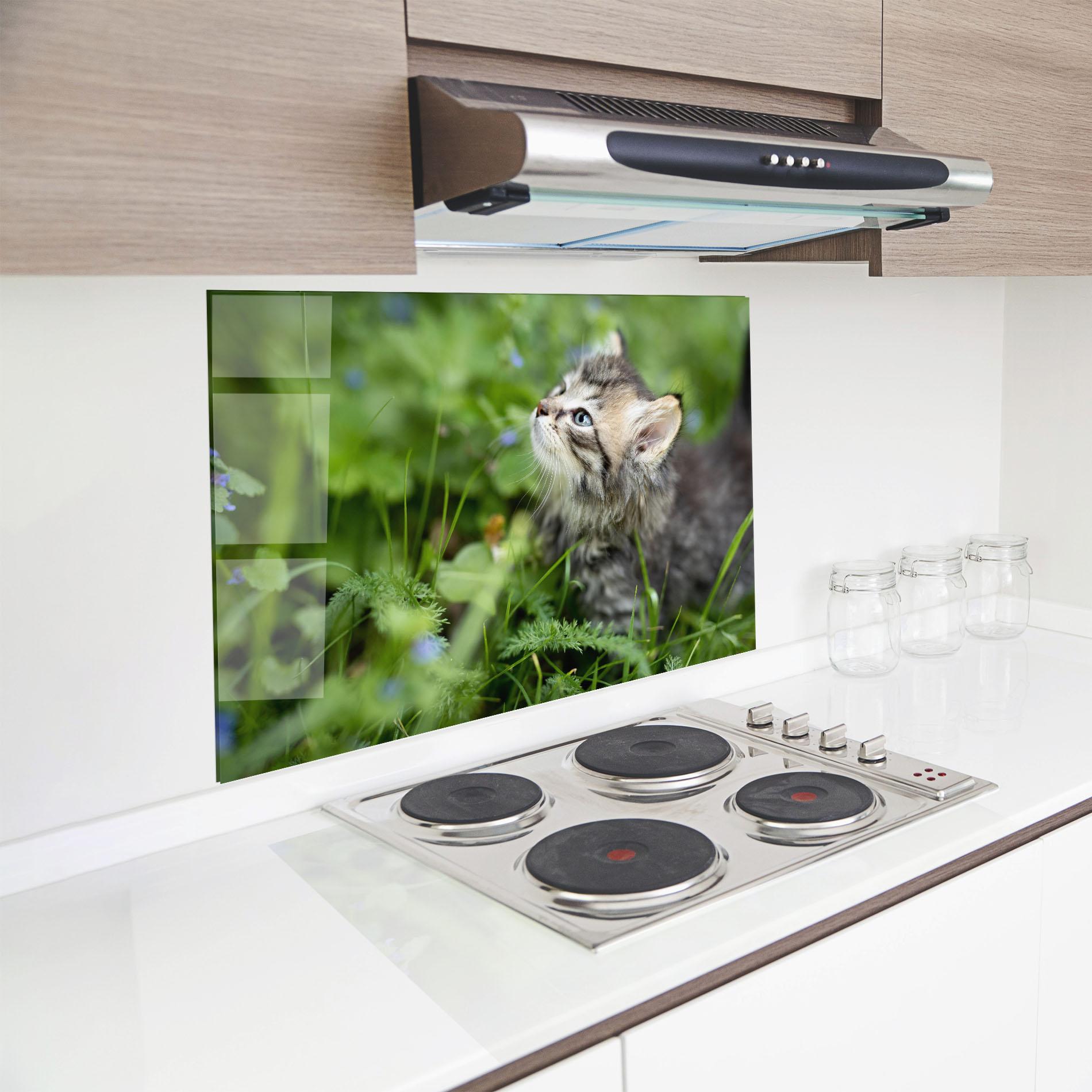 Стъклен панел за кухня Brown Baby Cat mockup 8