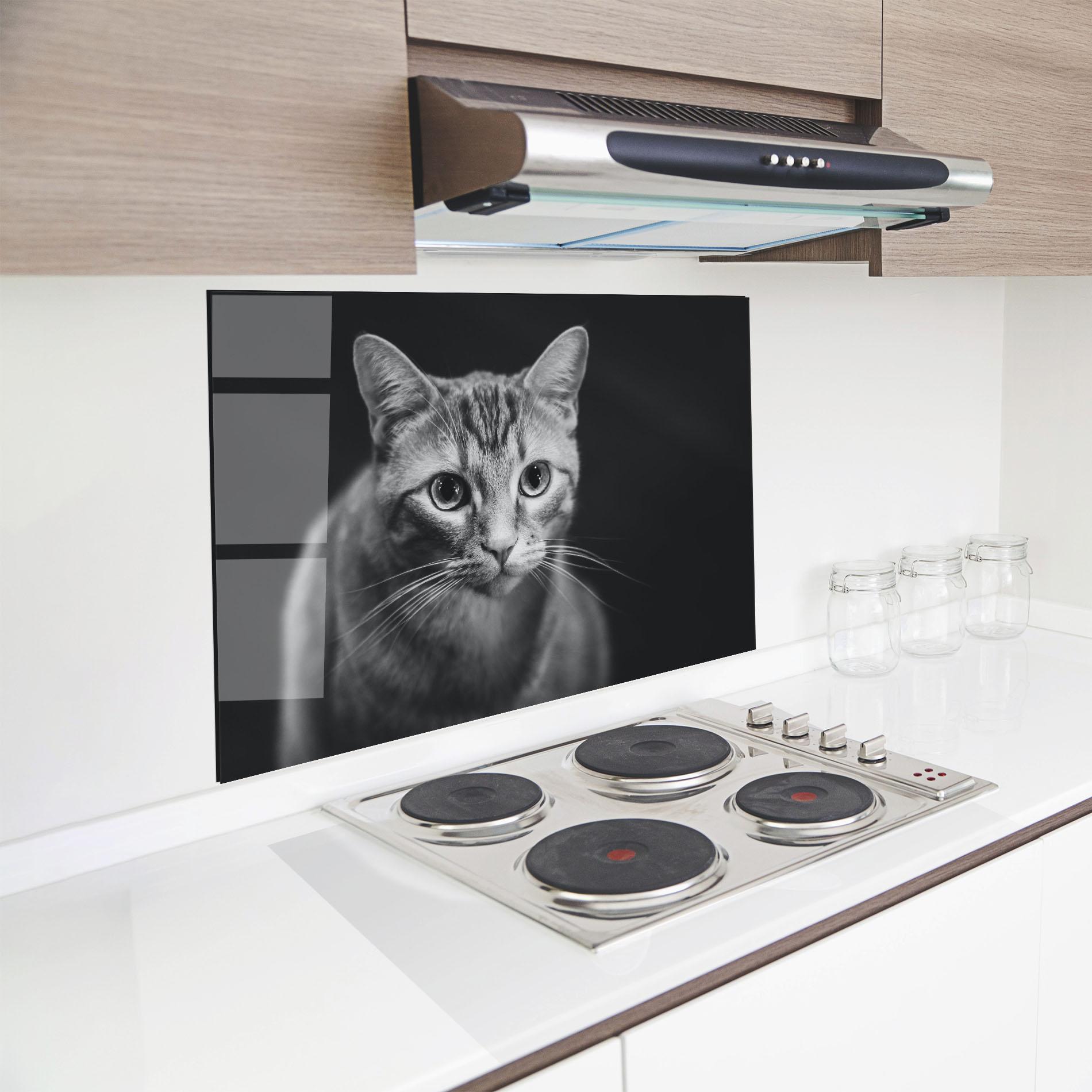 Стъклен панел за кухня Grey Kitty On Black mockup 8