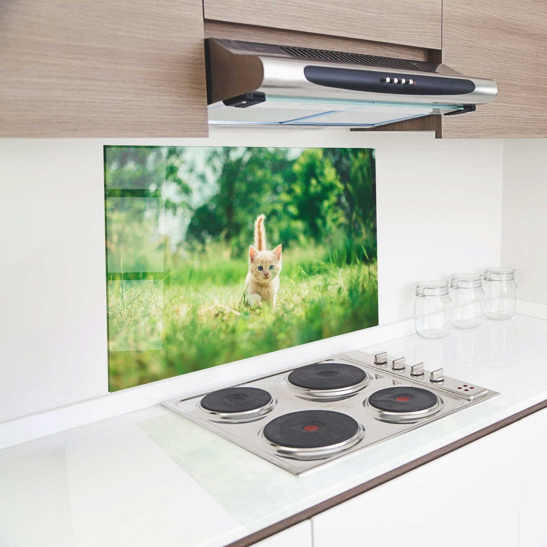 Стъклен панел за кухня Little Cute Cat mockup 8
