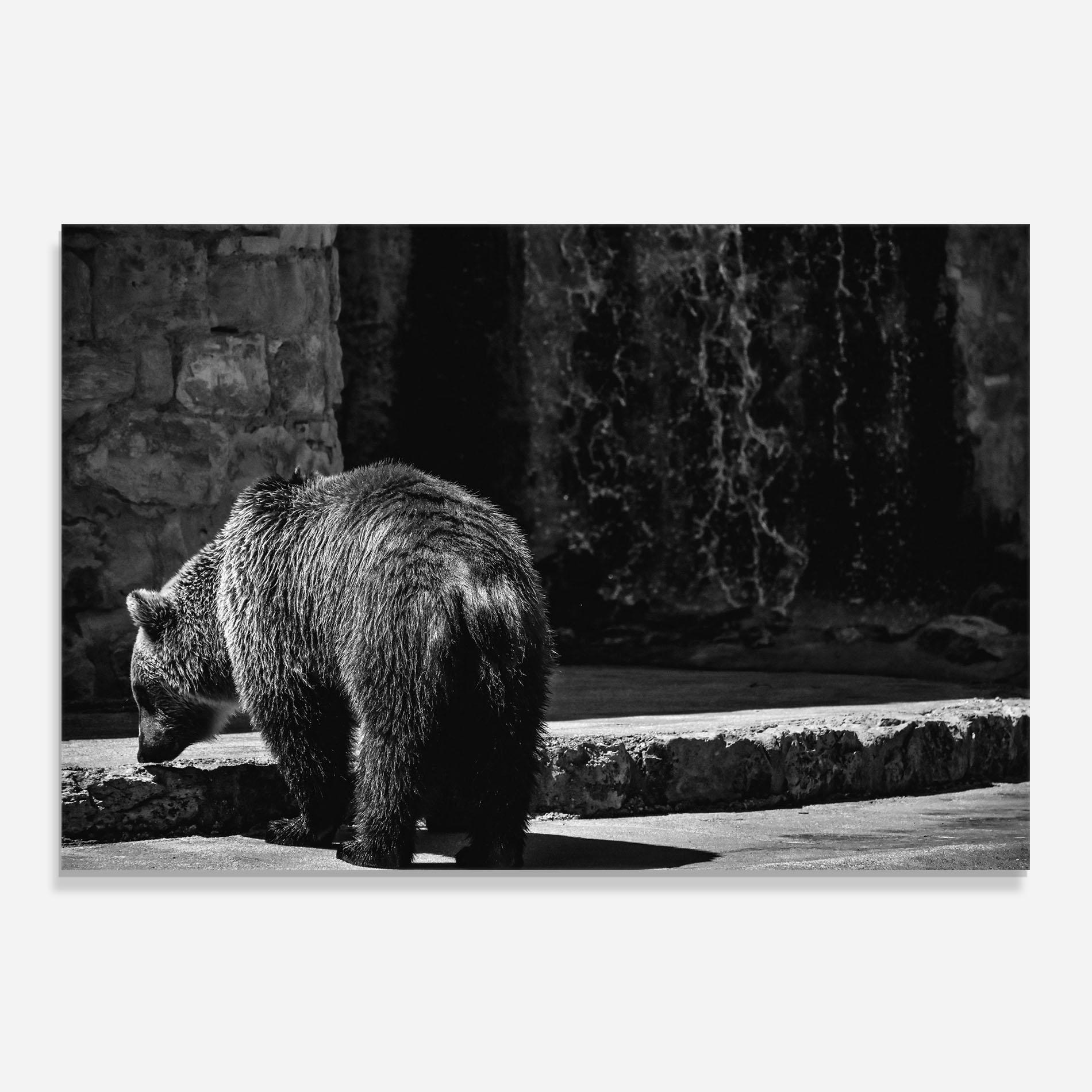 Стъклен панел за кухня Grey Bear mockup 0