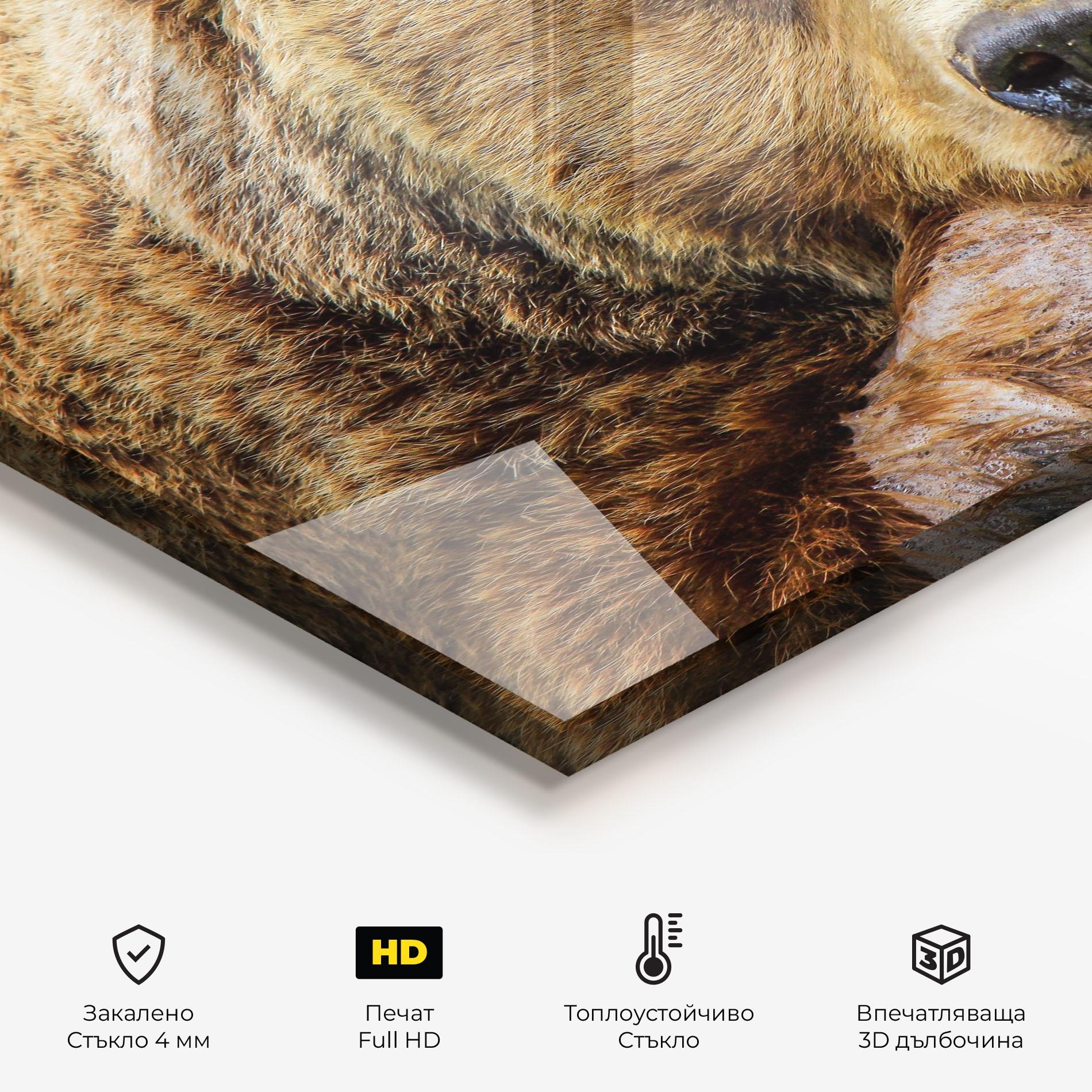 Стъклен панел за кухня Bear mockup 2