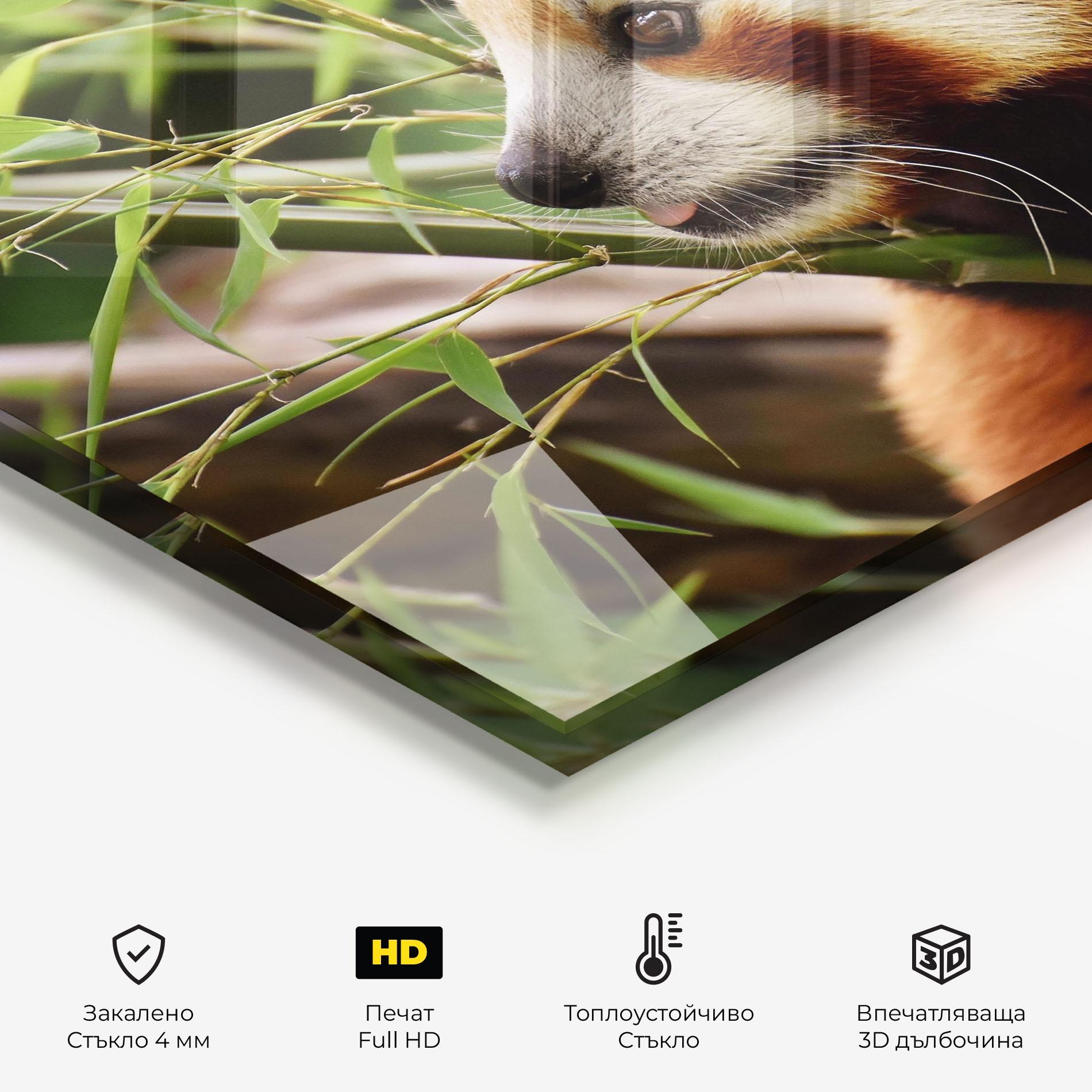 Стъклен панел за кухня Cute Red Panda mockup 2